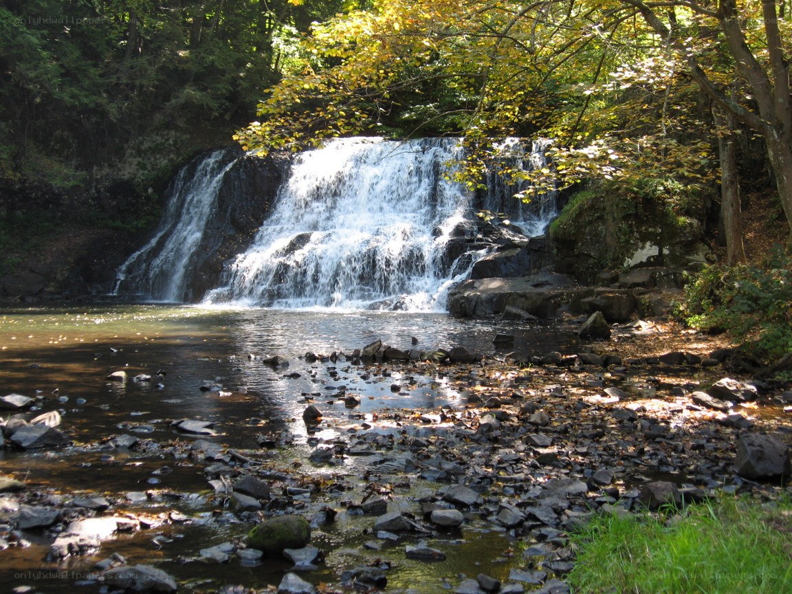 Waterfall in forested area
