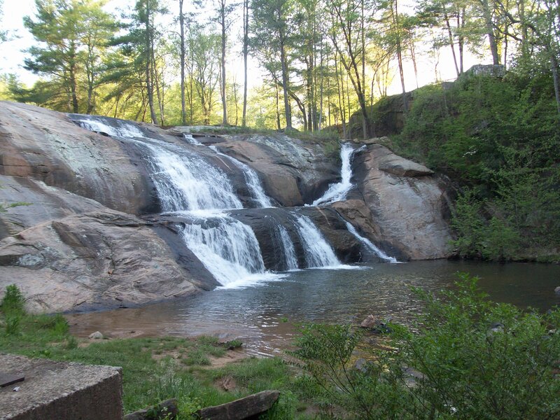 Waterfall in forested area