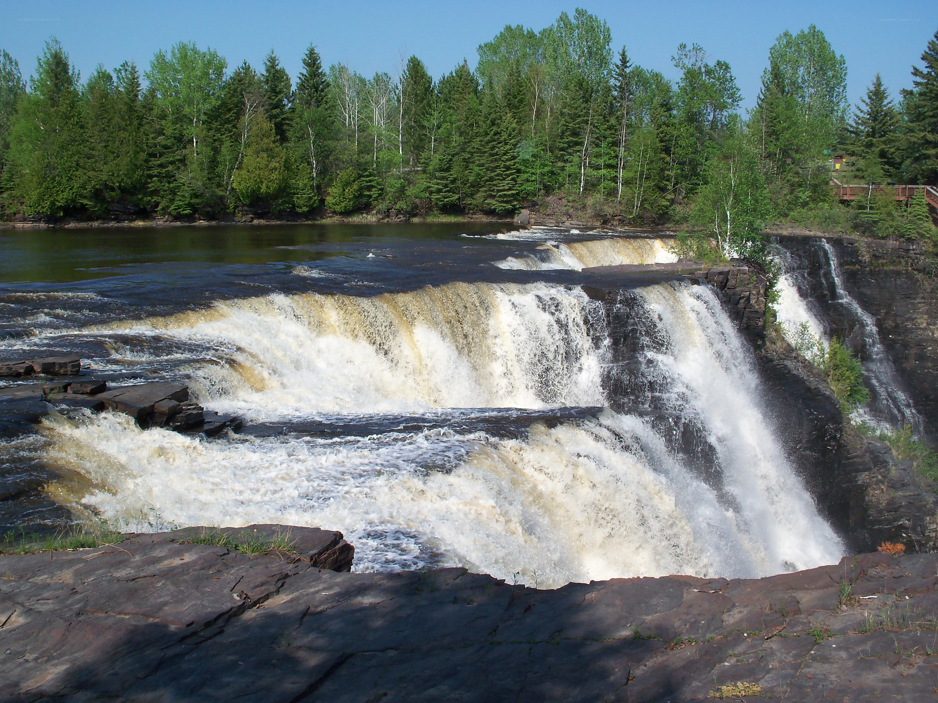 Waterfall in forested area
