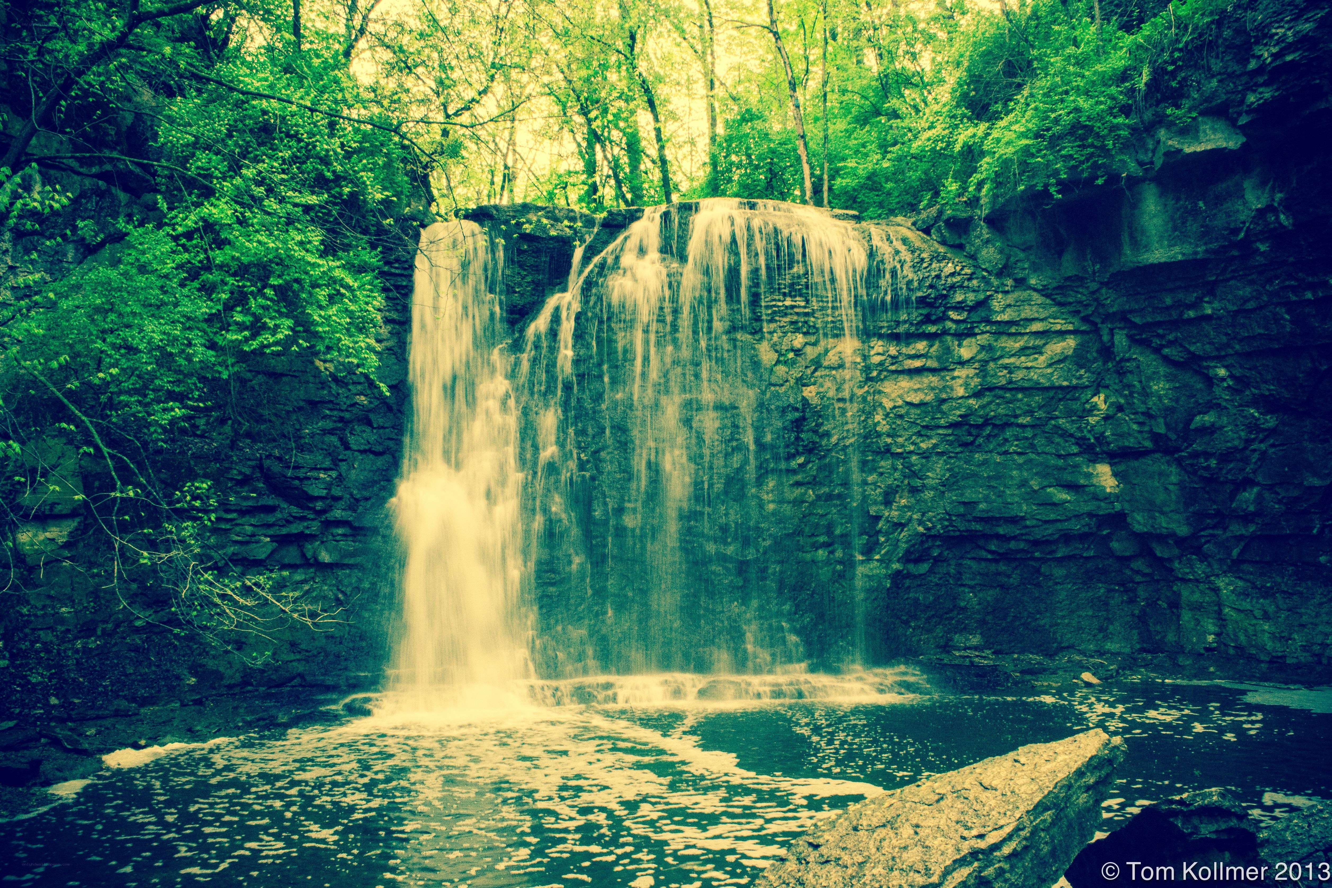 Waterfall in forested area