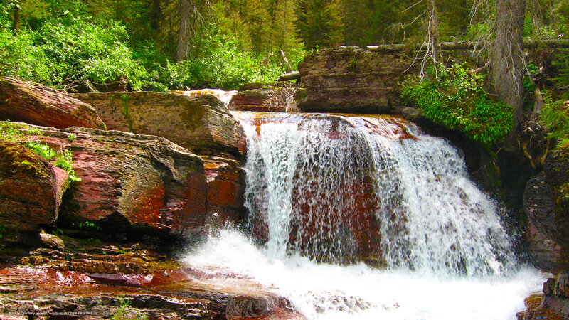 Waterfall in forested area