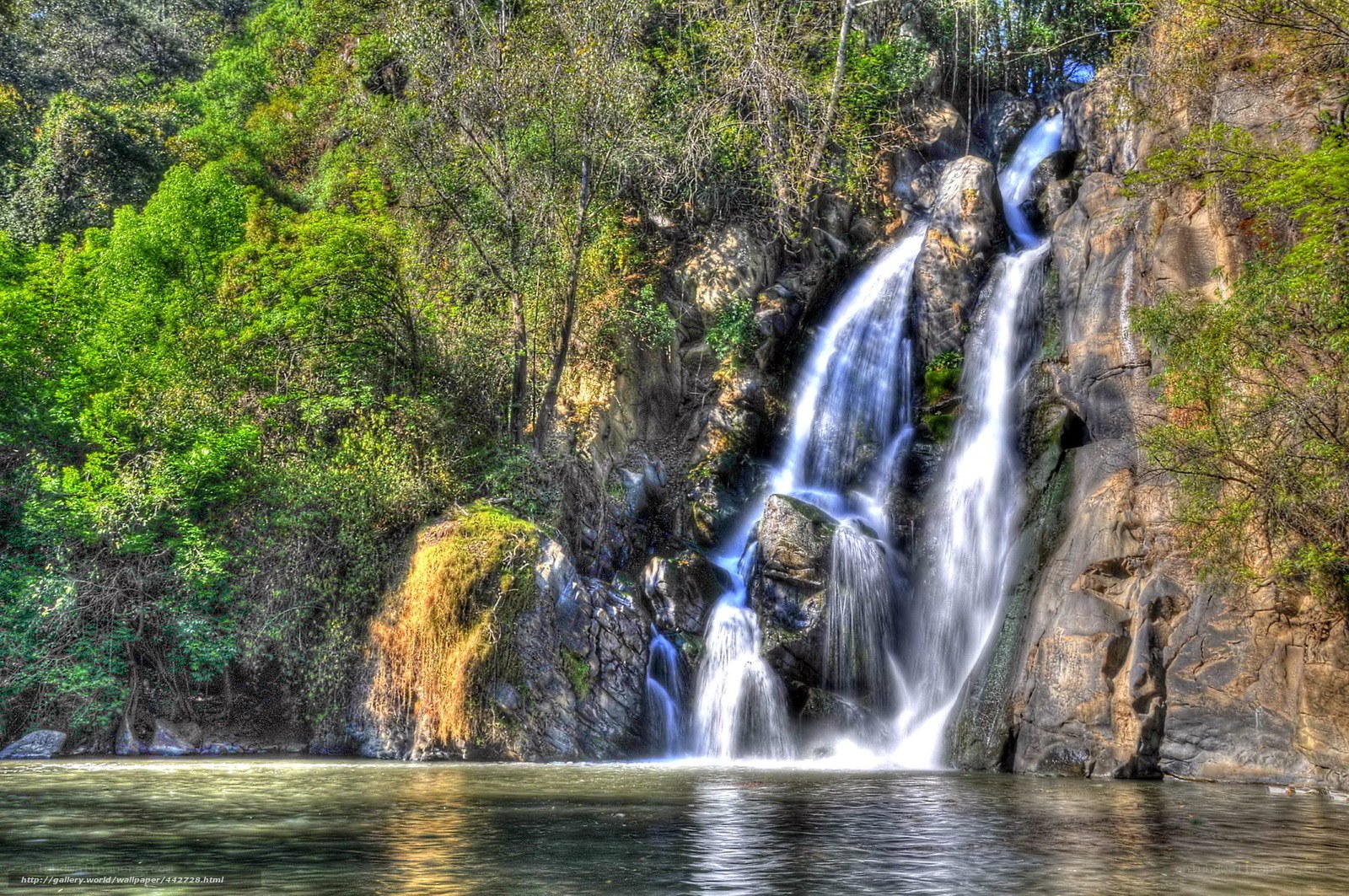 Waterfall in forested canyon