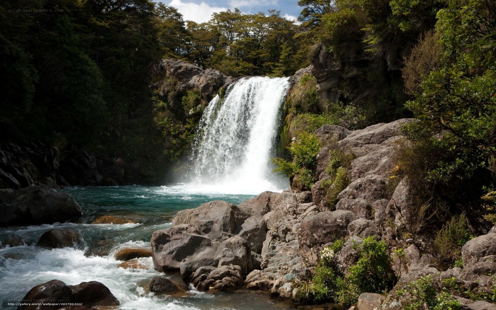 Waterfall in forested canyon