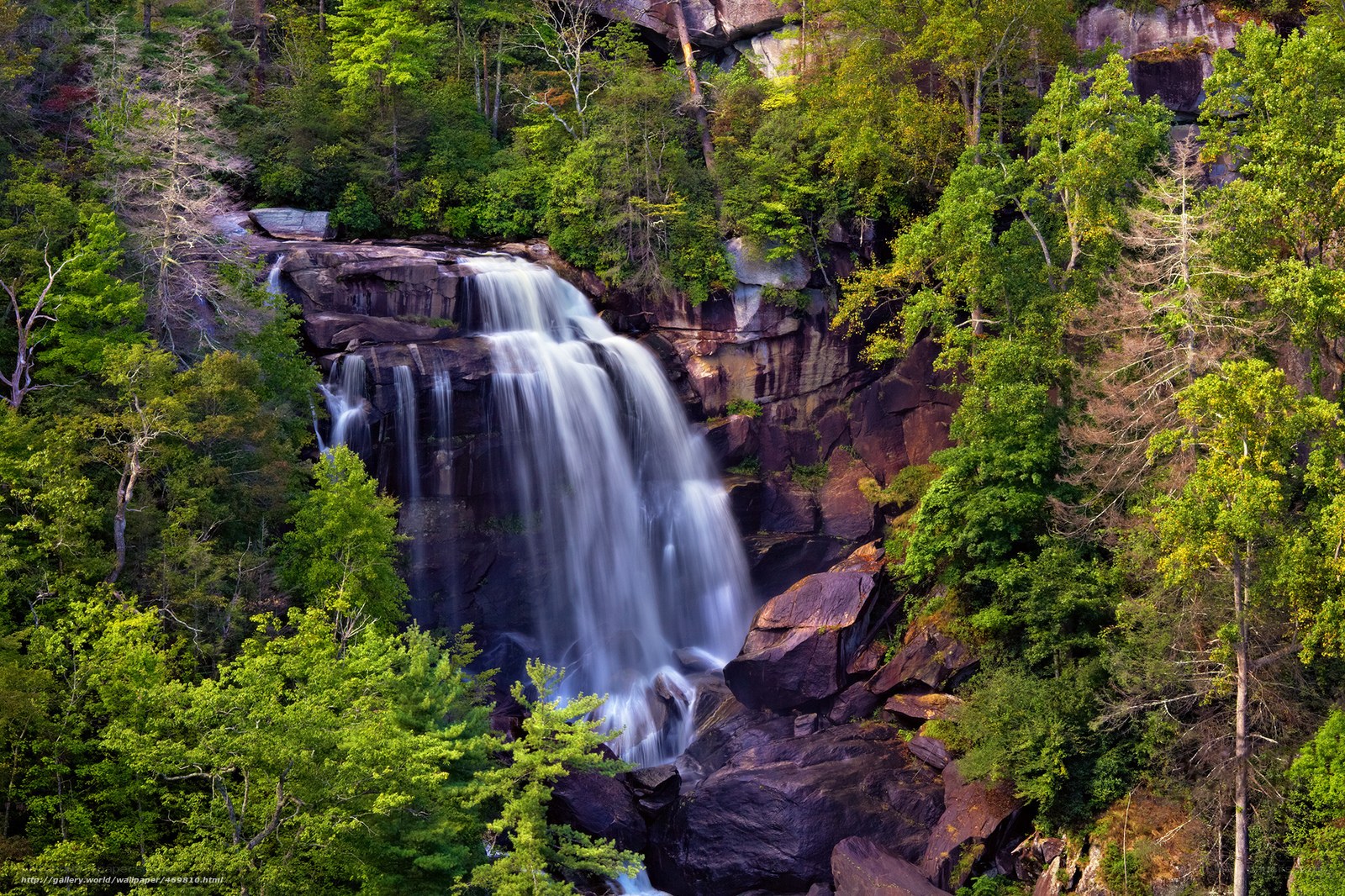 Waterfall in forested canyon