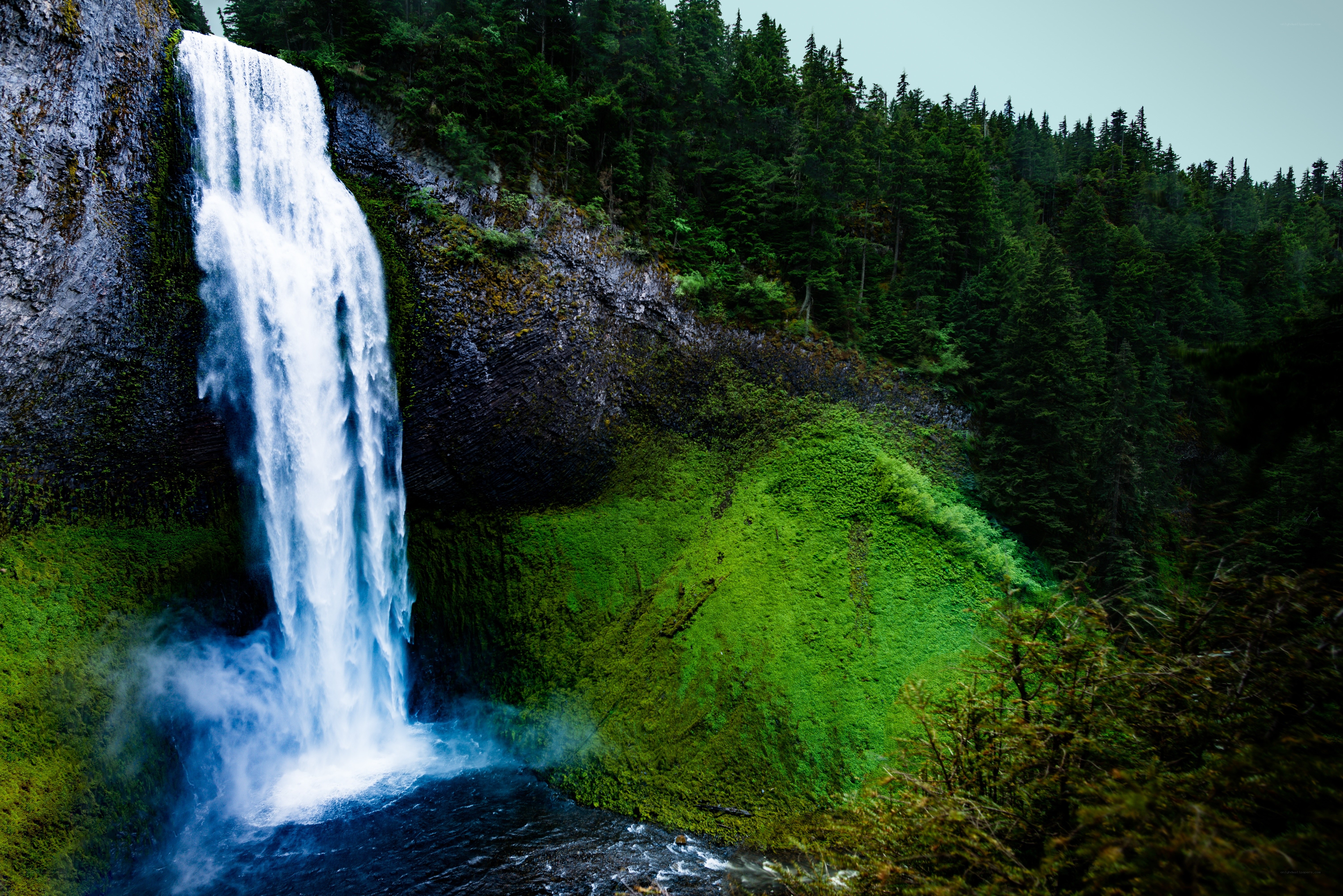 Waterfall in forested canyon