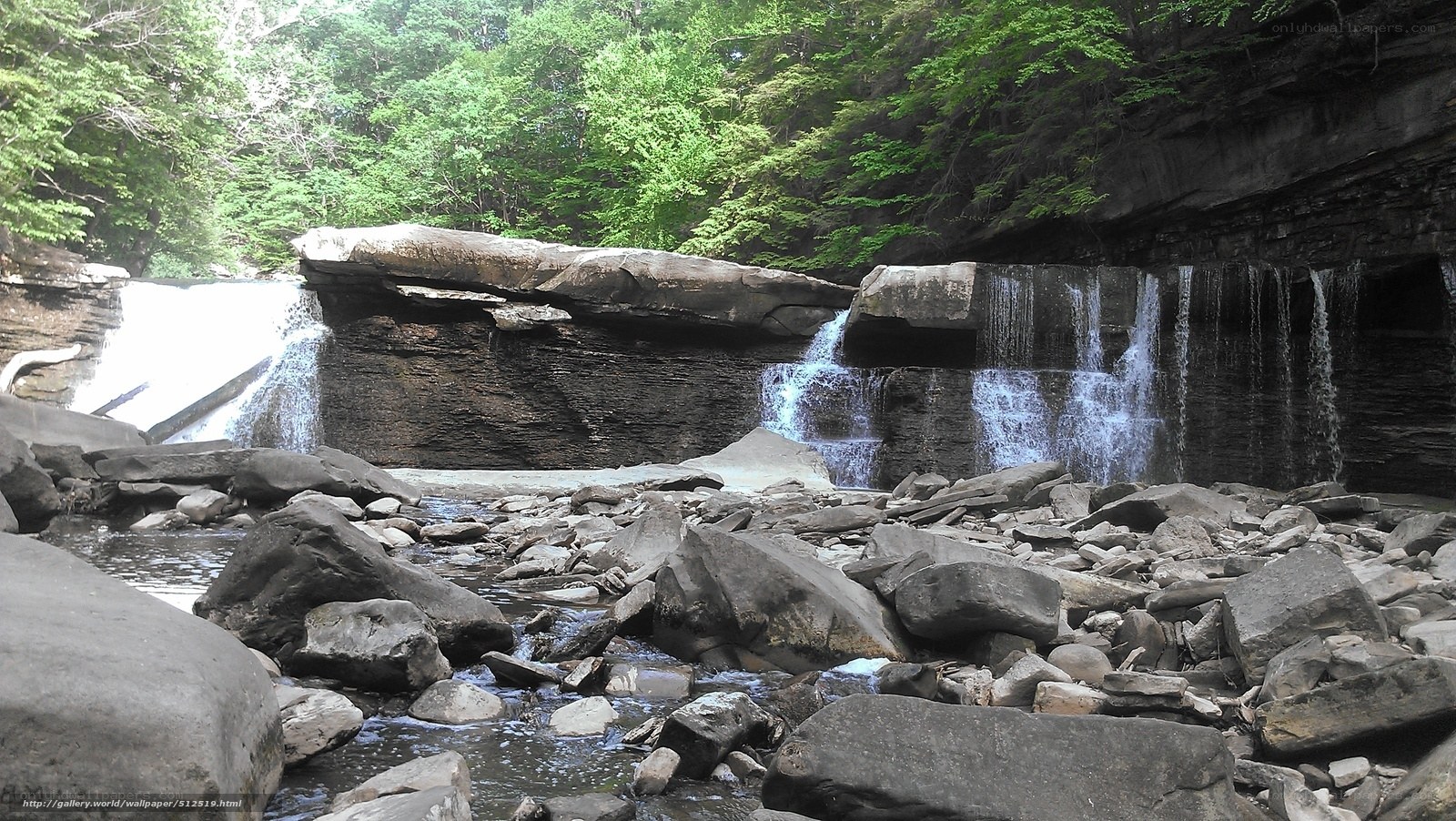Waterfall in forested canyon