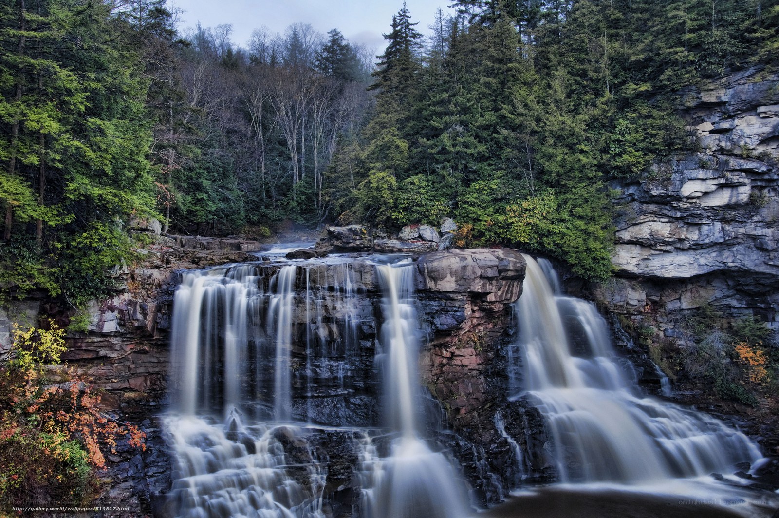 Waterfall in forested canyon