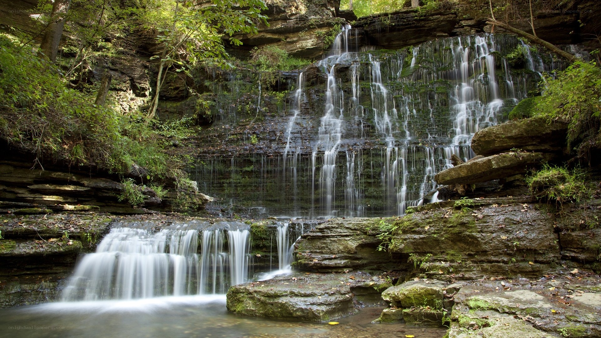 Waterfall in forested canyon