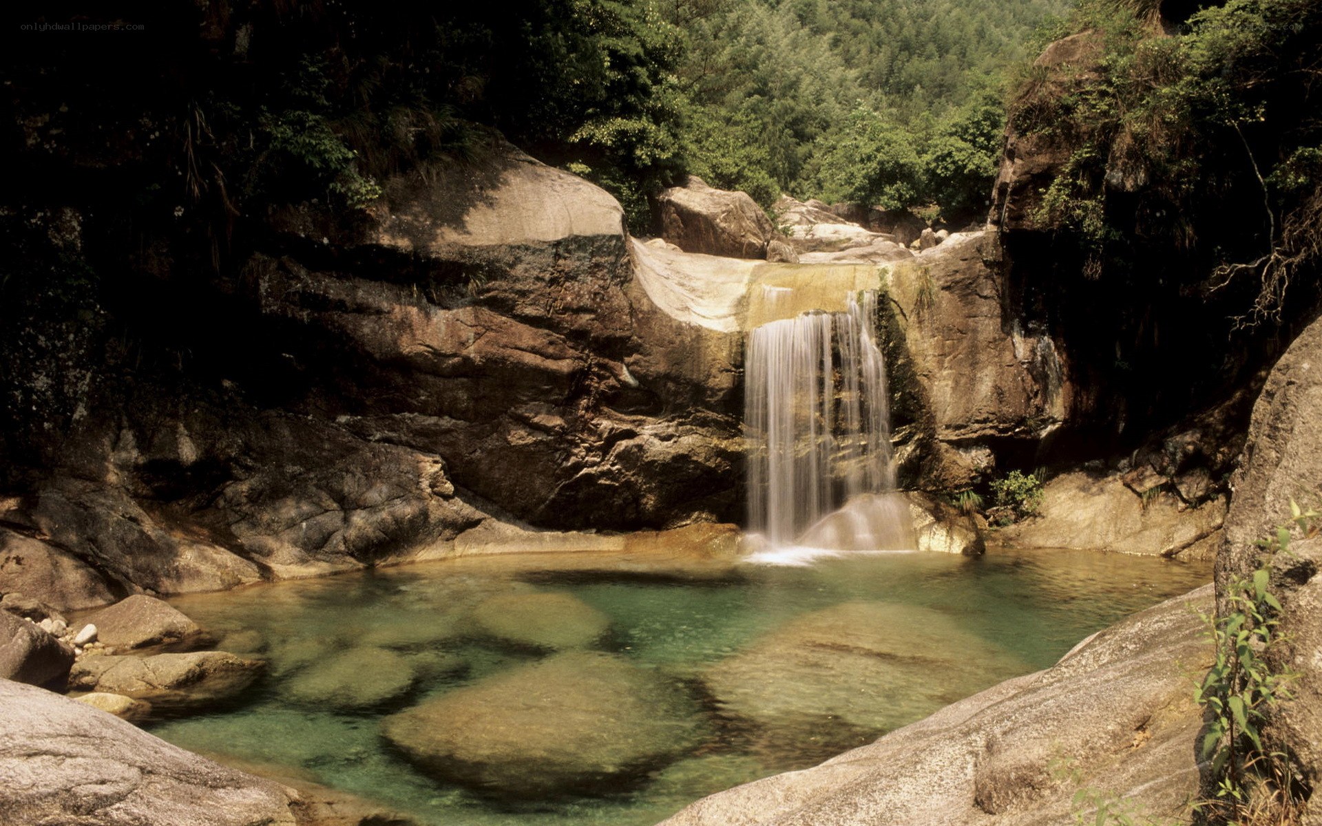 Waterfall in forested canyon