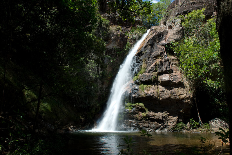 Waterfall in forested canyon