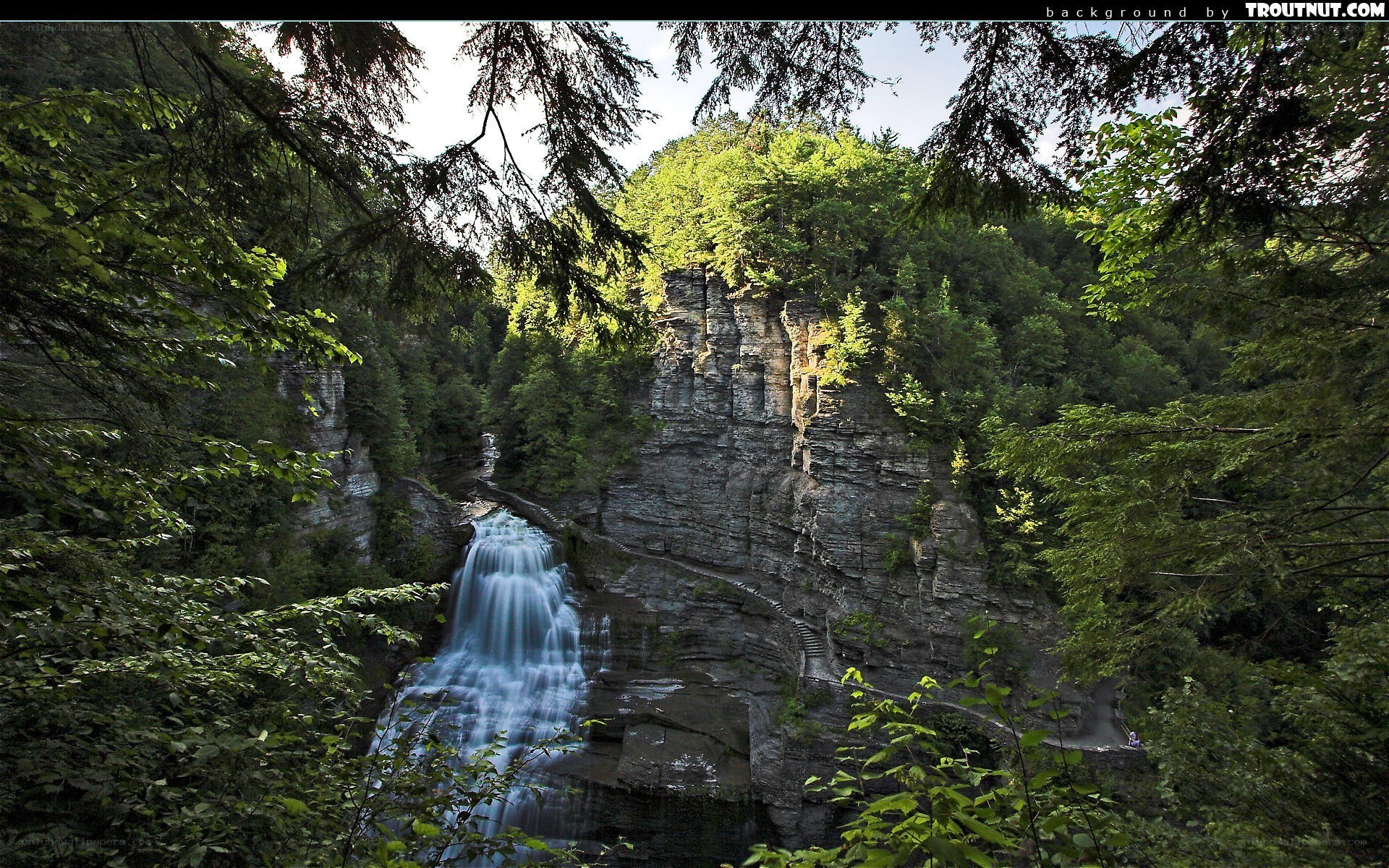 Waterfall in forested canyon