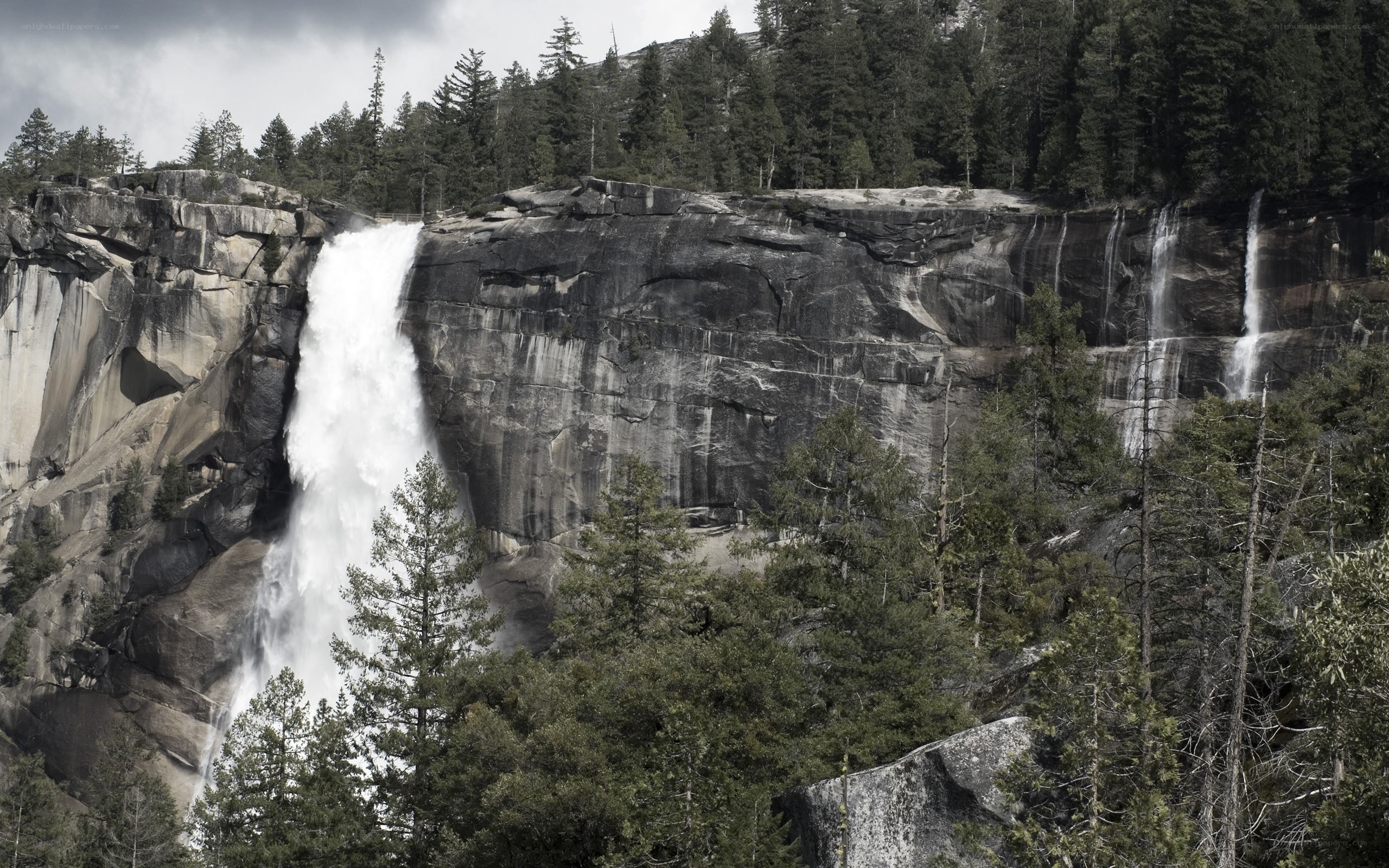 Waterfall in forested canyon