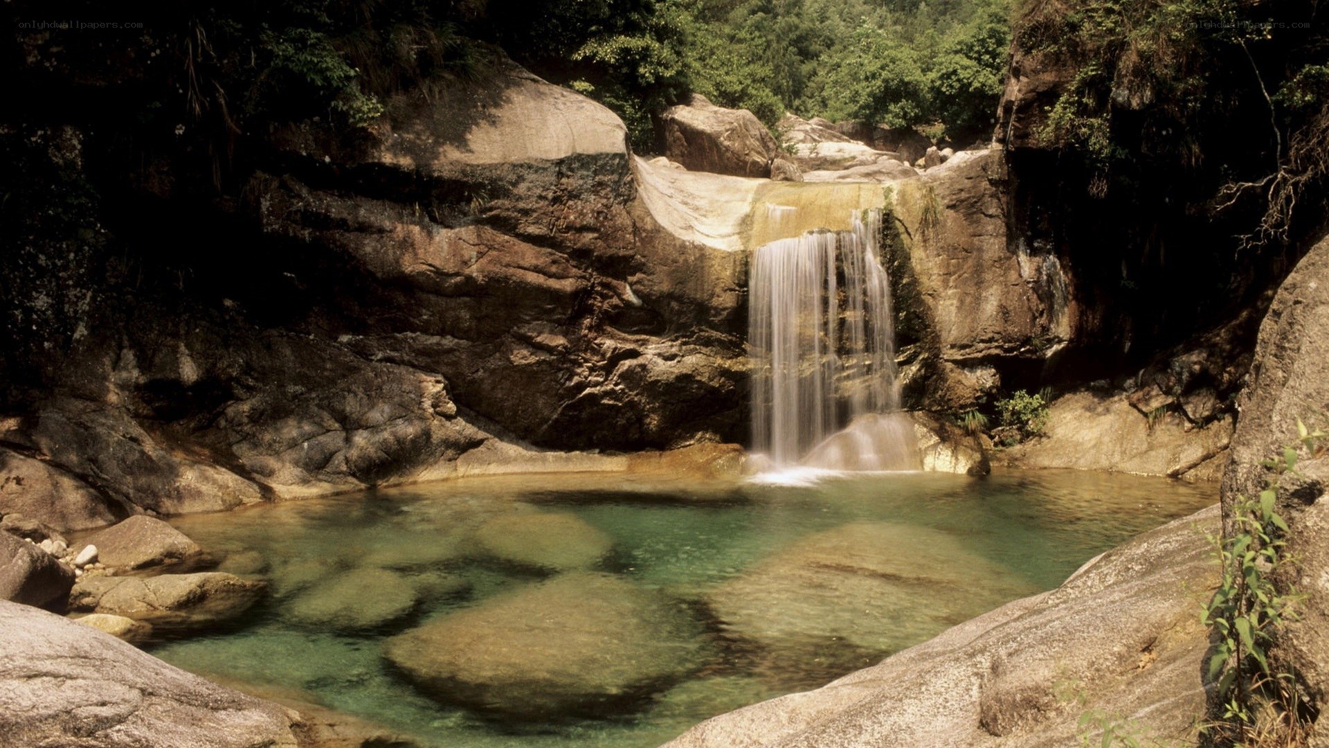 Waterfall in forested canyon
