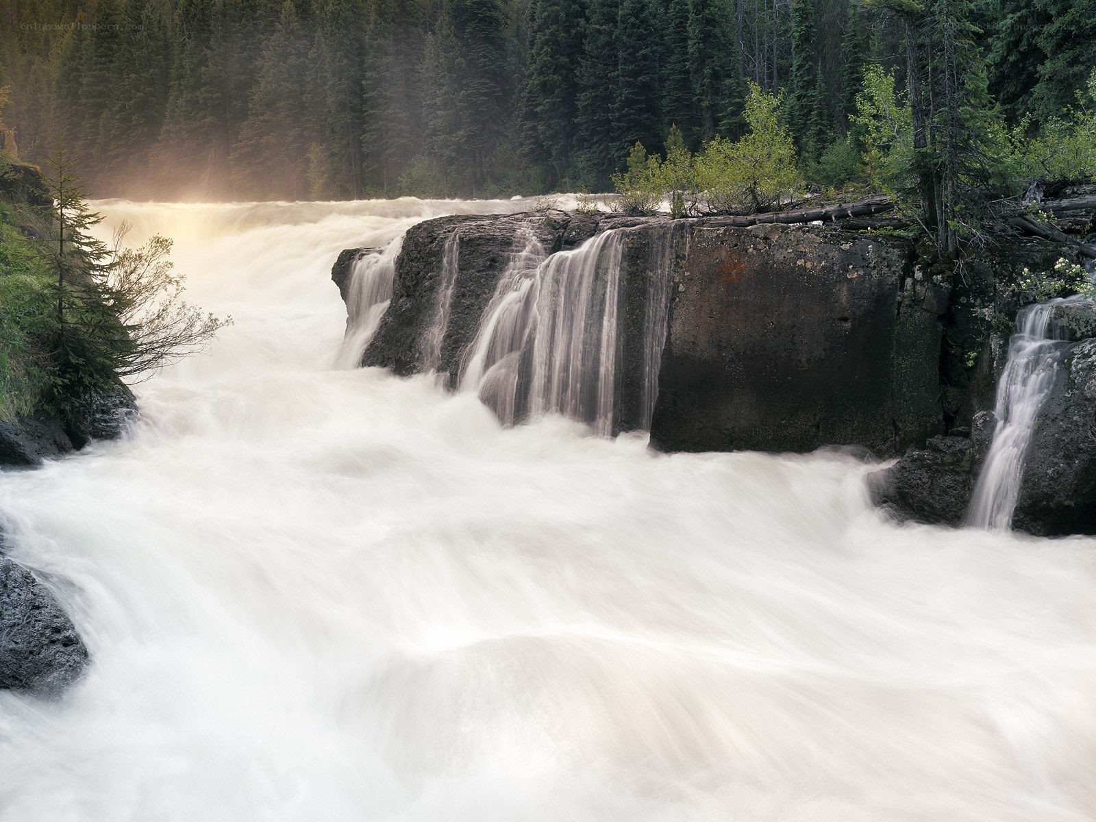 Waterfall in forested canyon