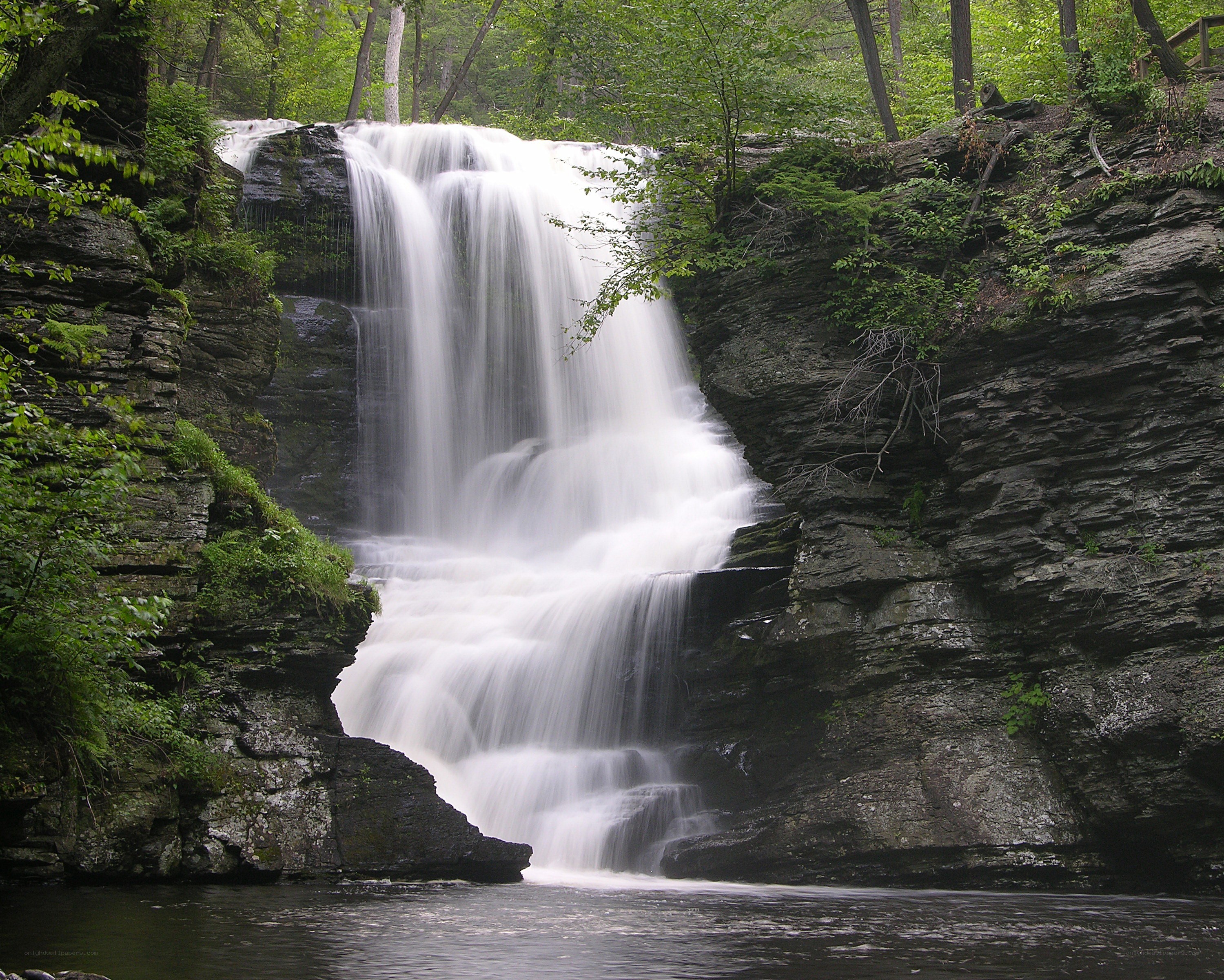 Waterfall in forested canyon