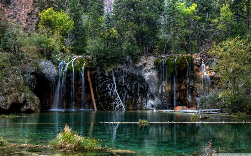 Waterfall in forested canyon