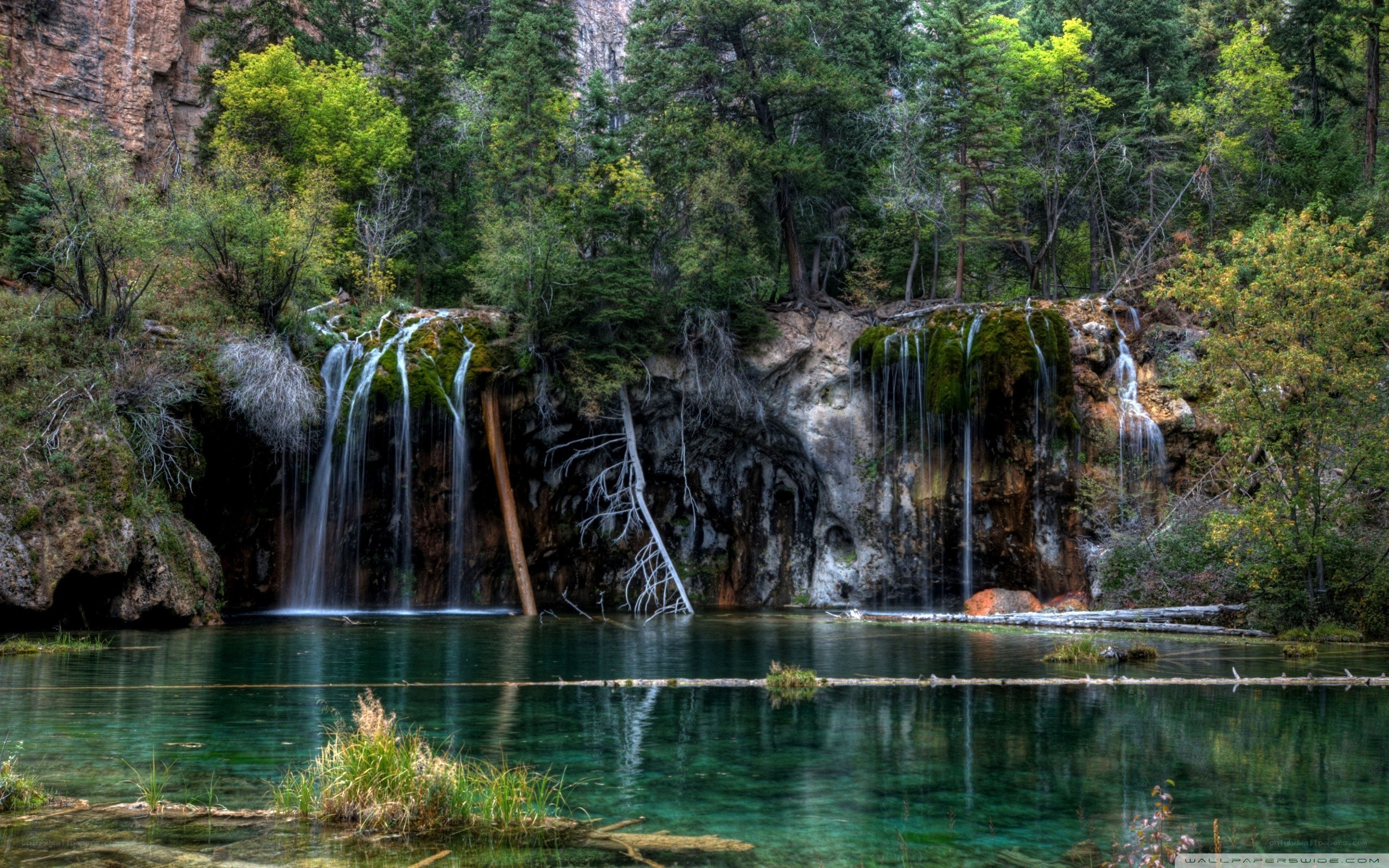 Waterfall in forested canyon