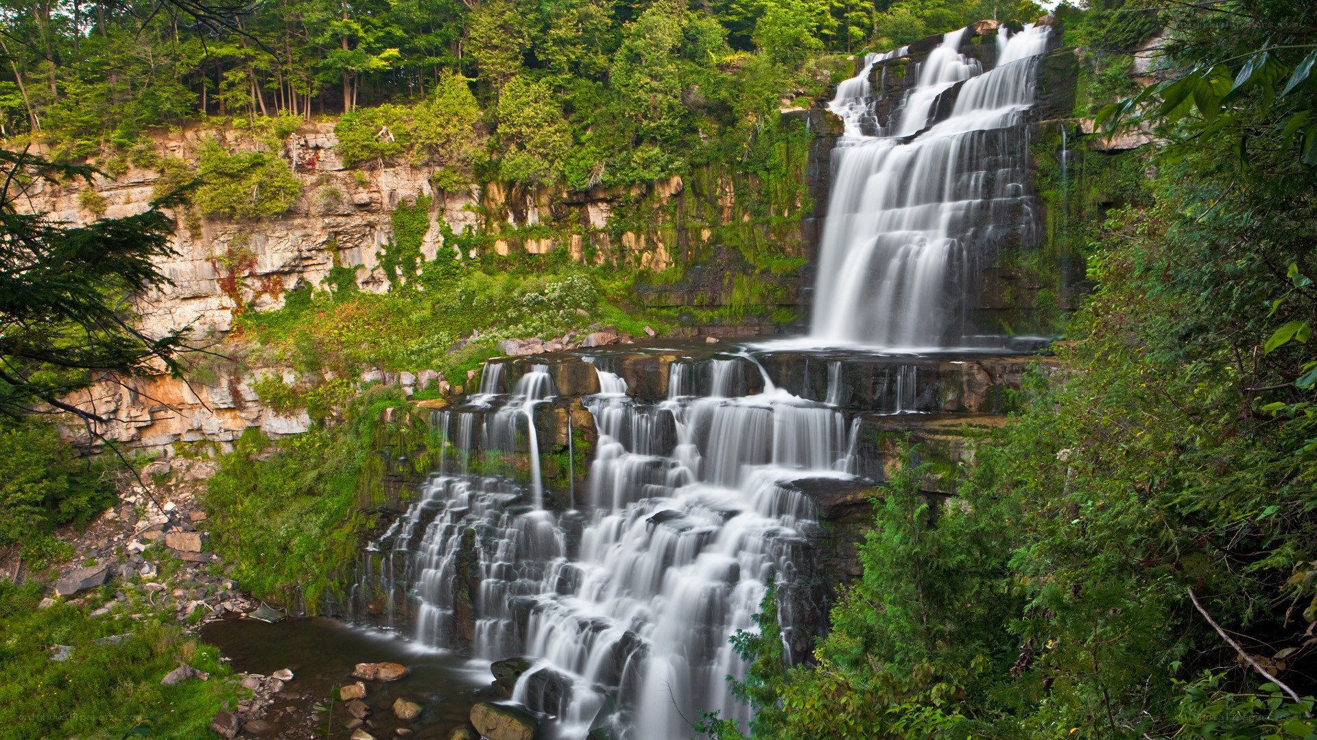 Waterfall in forested canyon