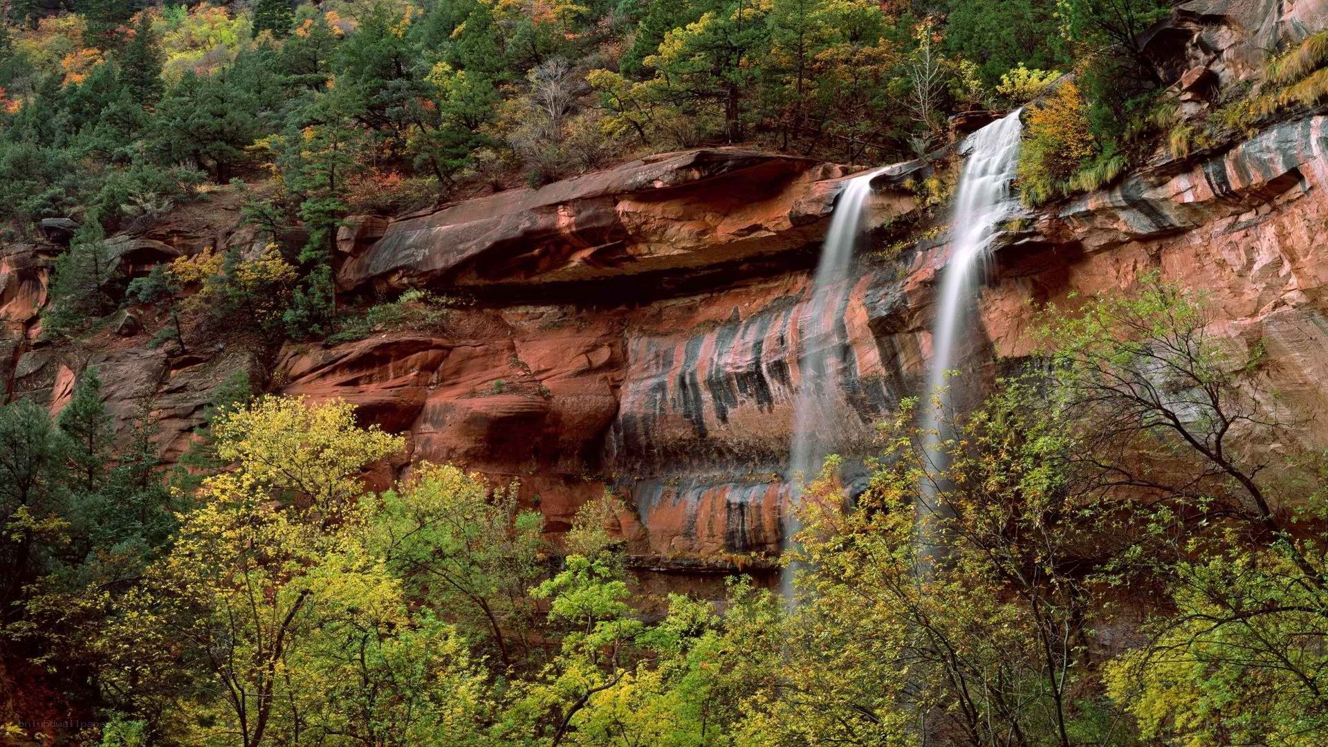 Waterfall in forested canyon
