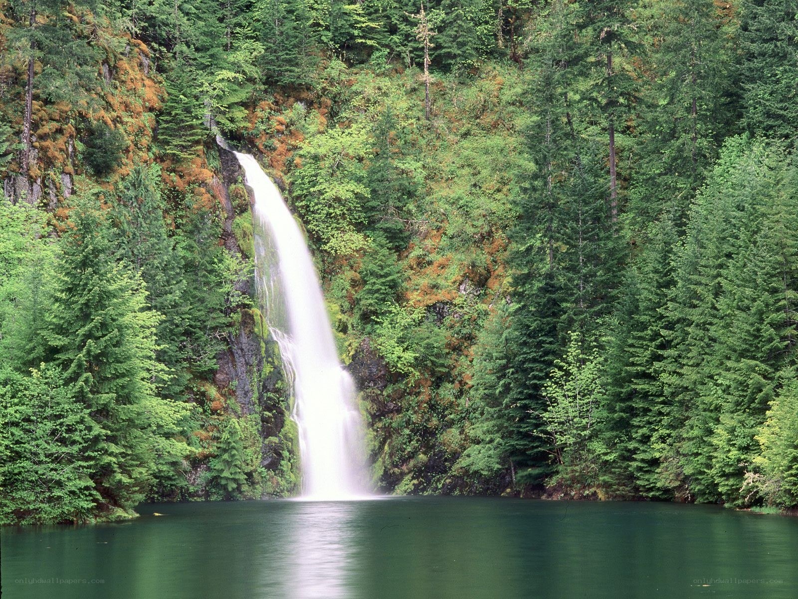 Waterfall in forested canyon
