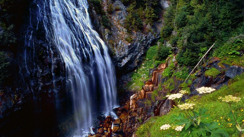 Waterfall in forested canyon