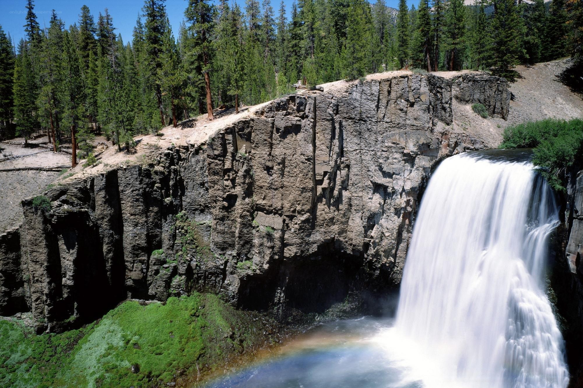 Waterfall in forested canyon
