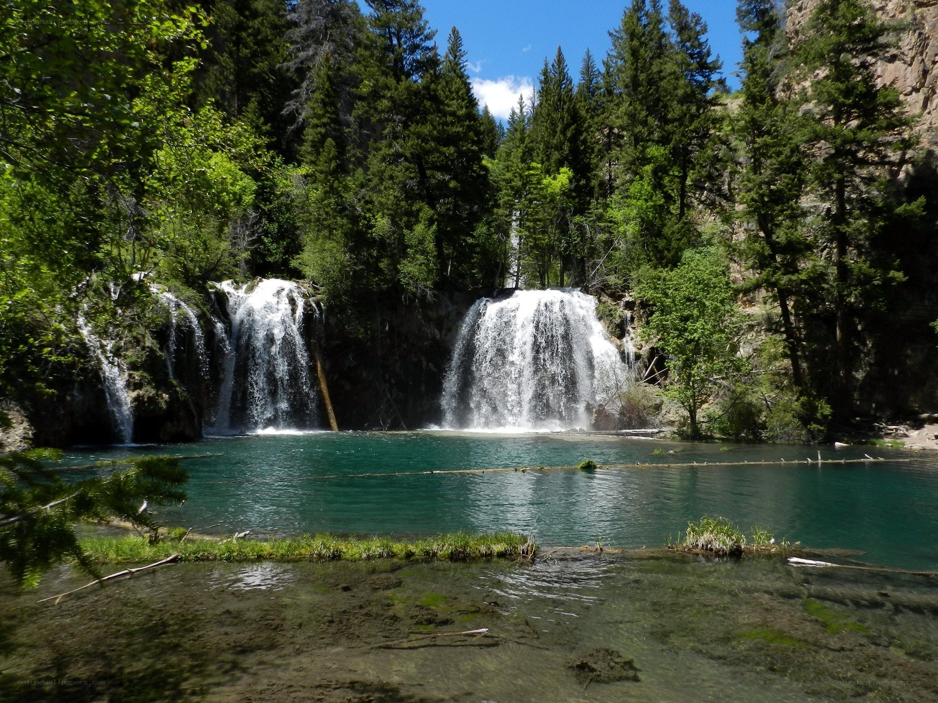 Waterfall in forested canyon