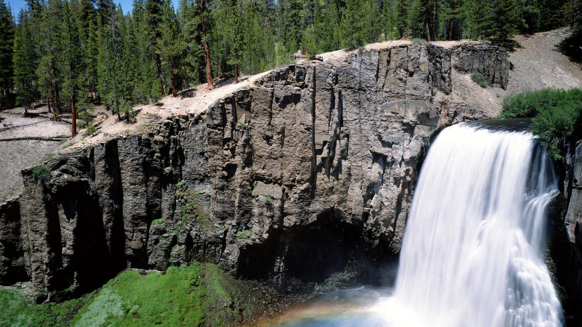 Waterfall in forested canyon
