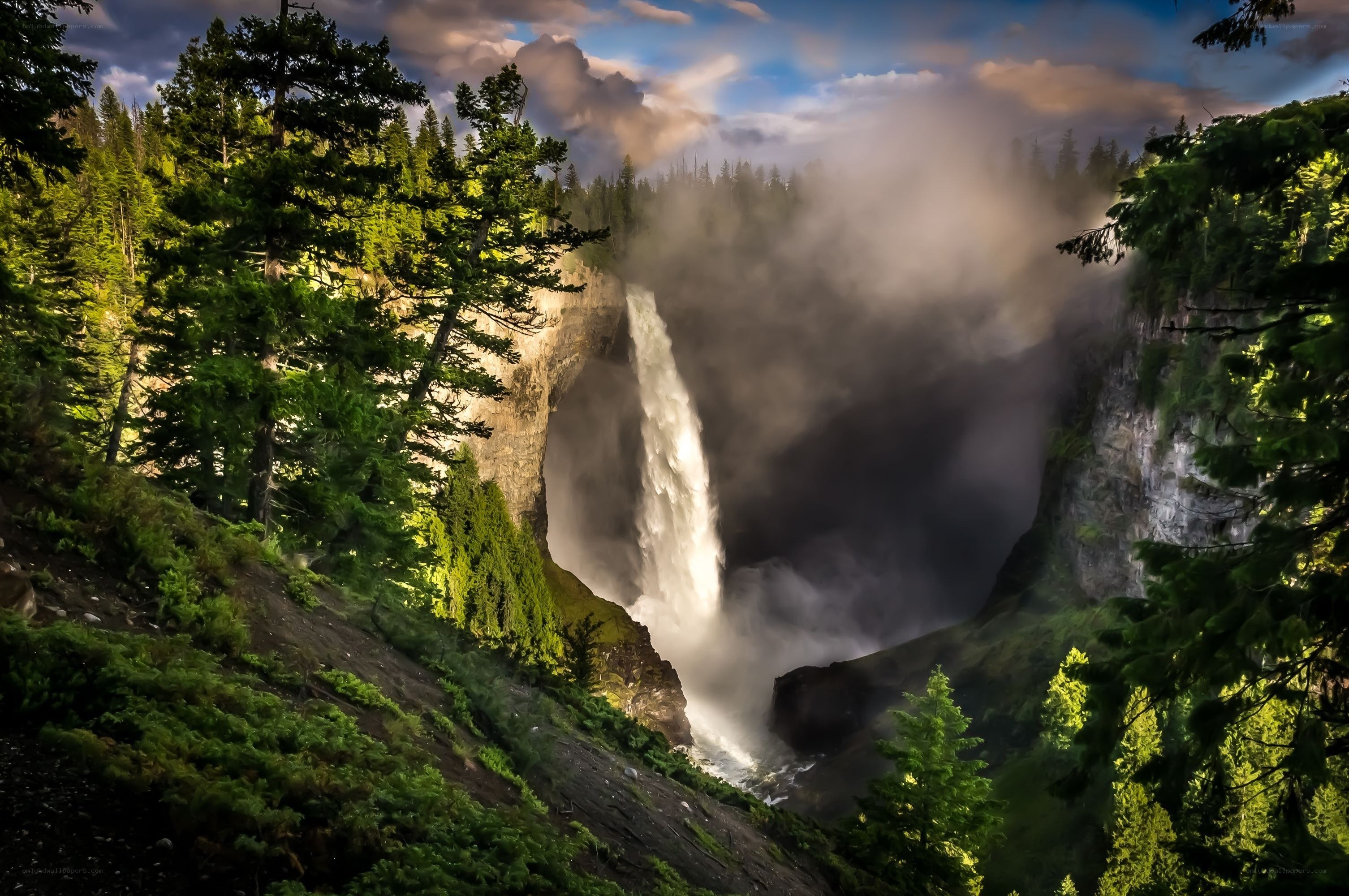 Waterfall in forested canyon