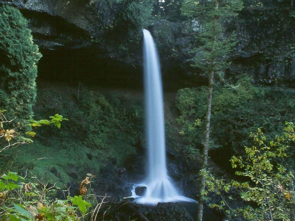 Waterfall in forested canyon