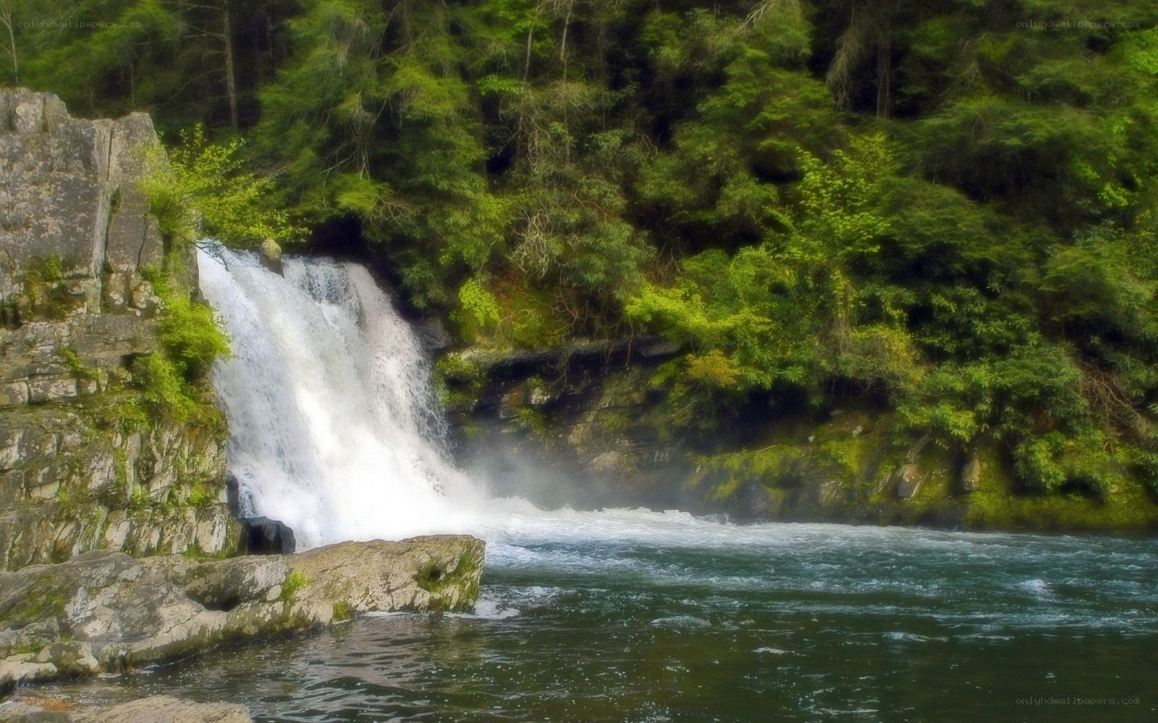 Waterfall in forested canyon