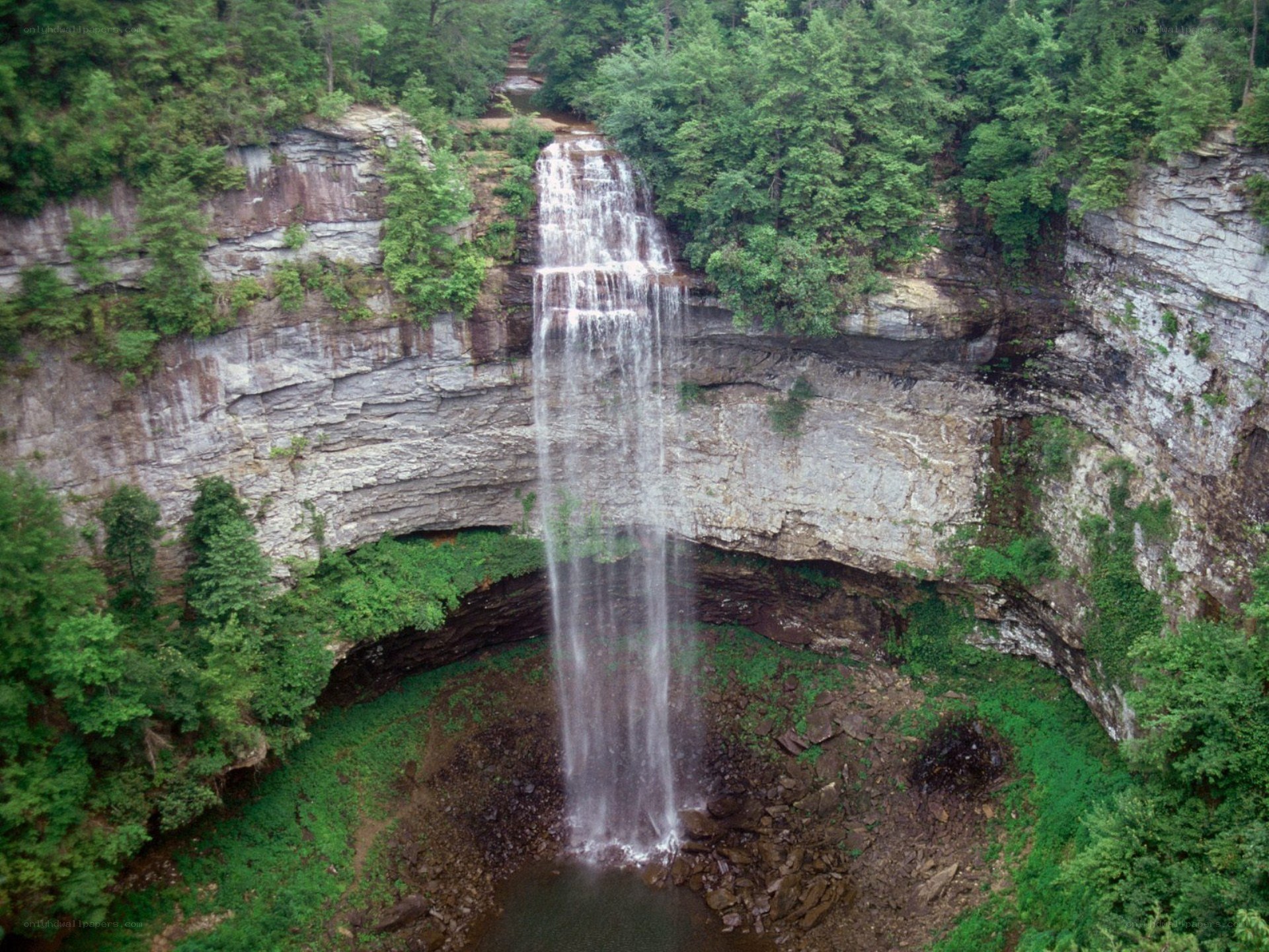Waterfall in forested canyon