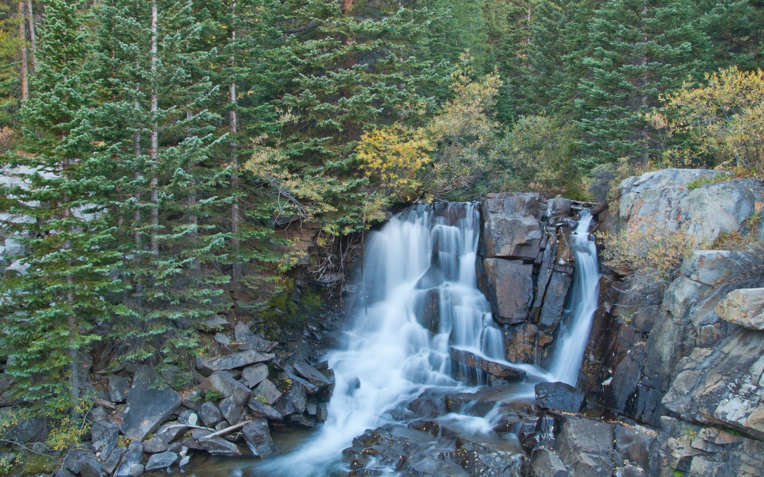 Waterfall in forested canyon