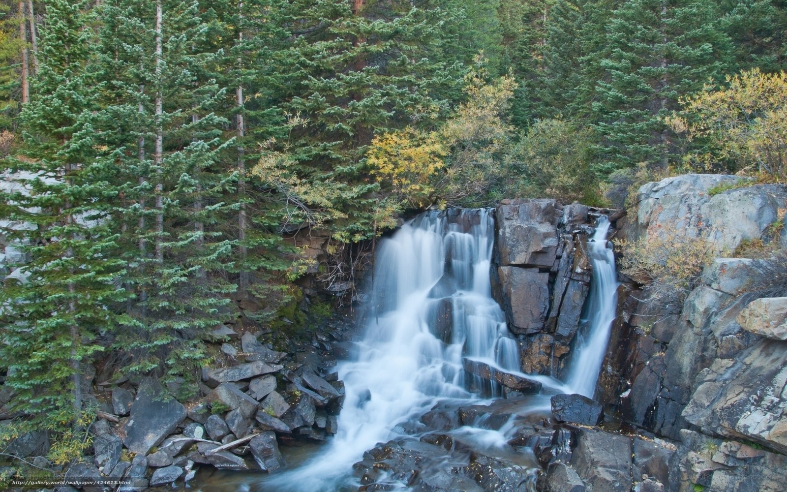 Waterfall in forested canyon