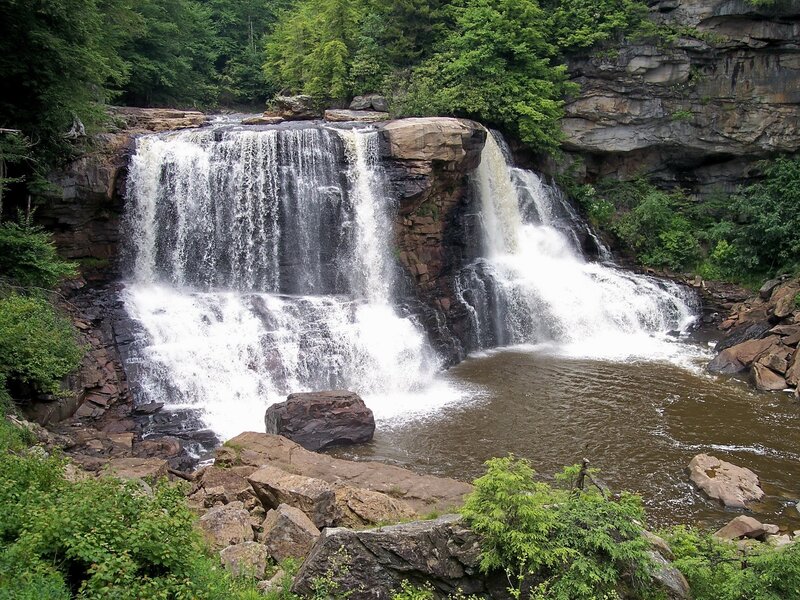 Waterfall in forested canyon