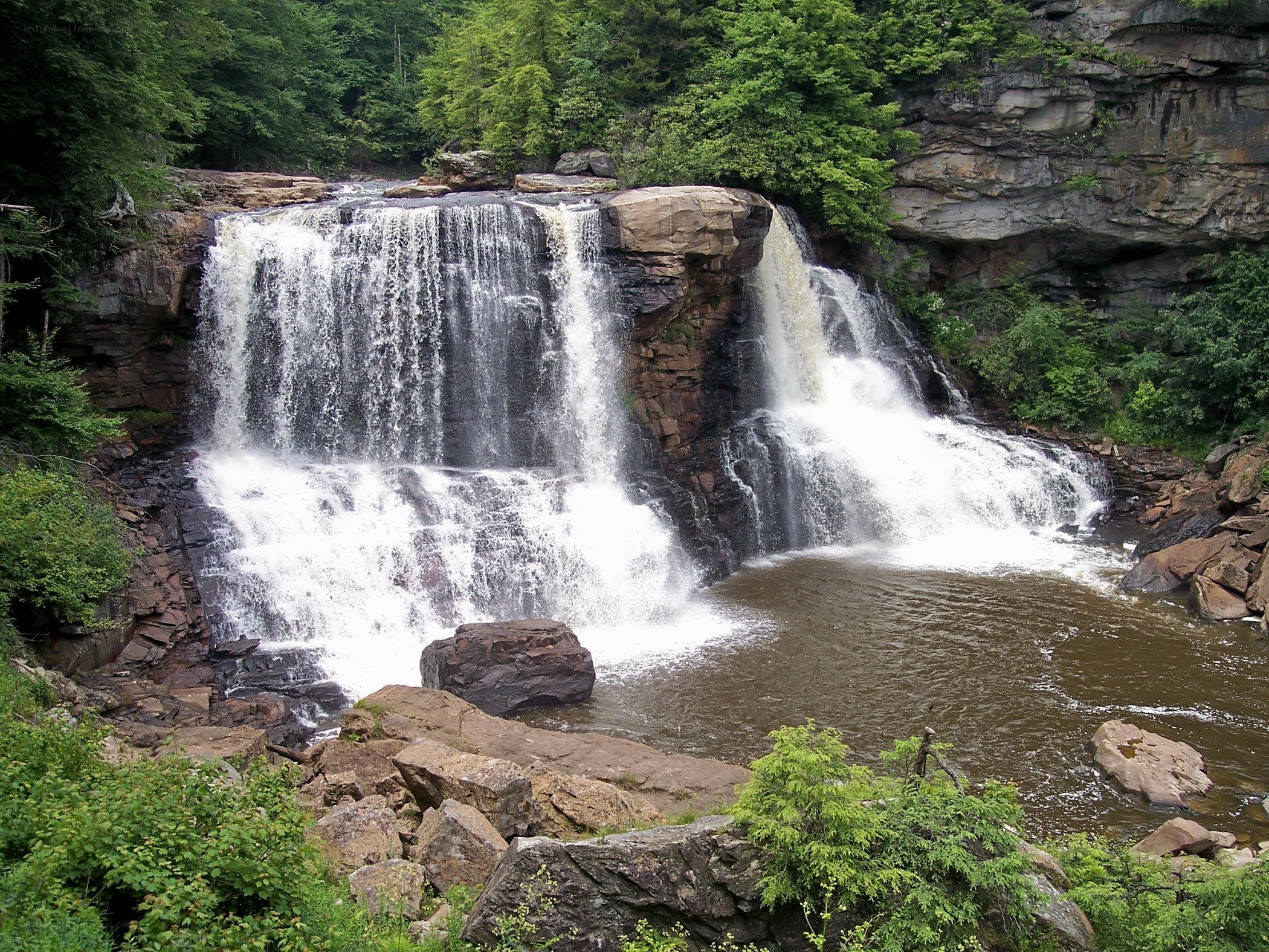 Waterfall in forested canyon