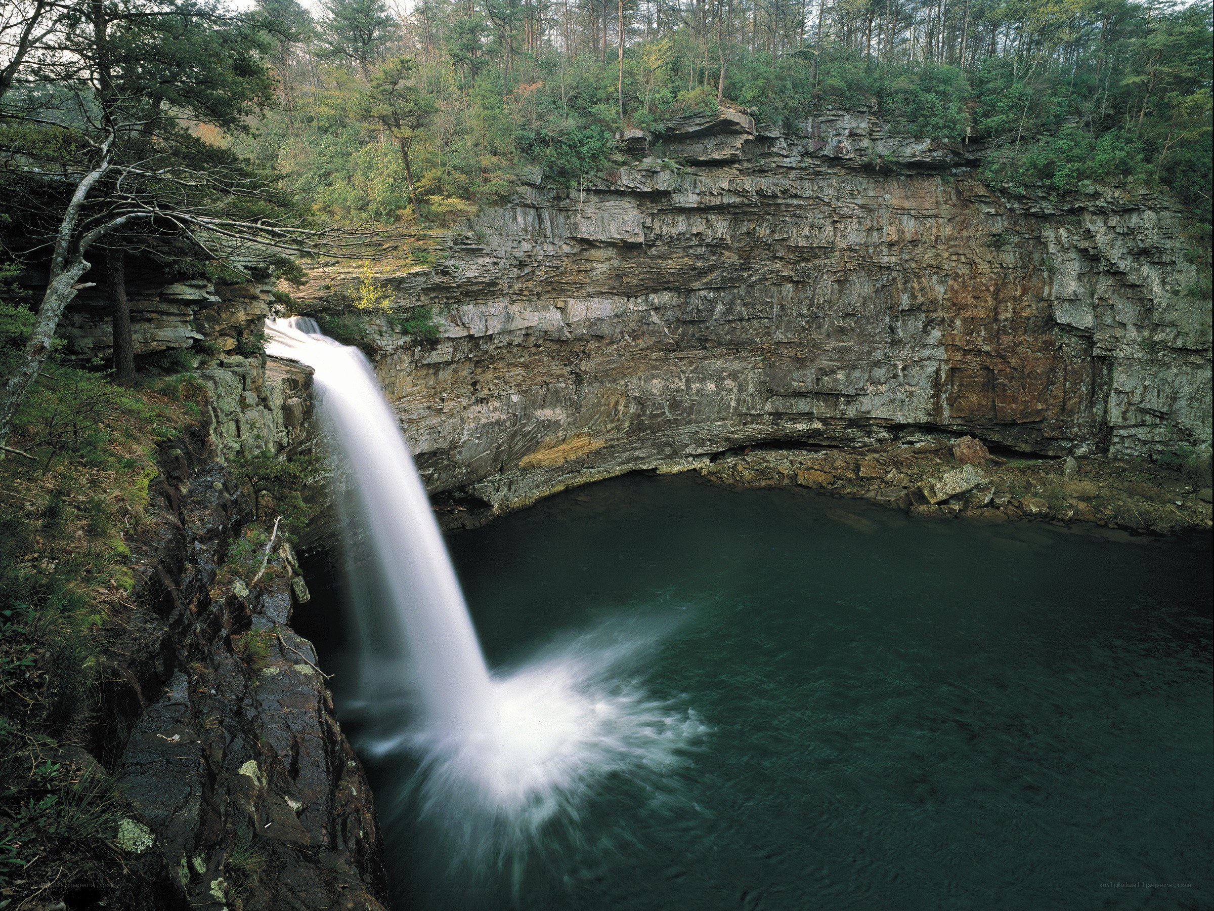 Waterfall in forested canyon