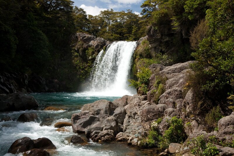 Waterfall in forested canyon
