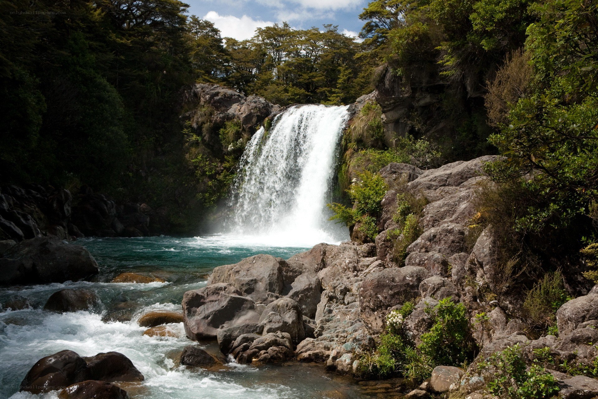 Waterfall in forested canyon