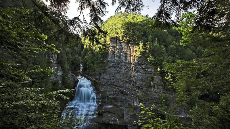 Waterfall in forested canyon