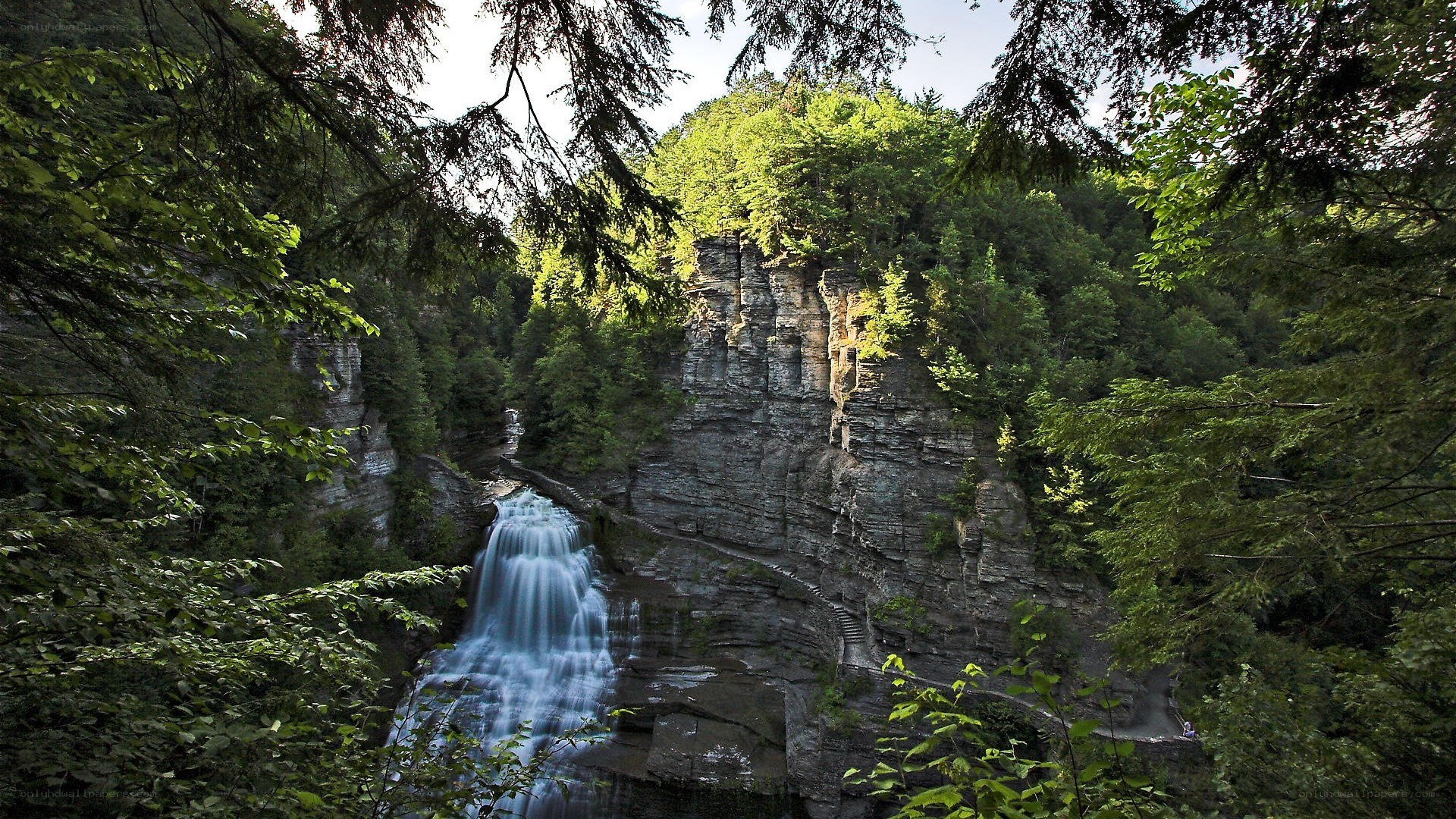 Waterfall in forested canyon
