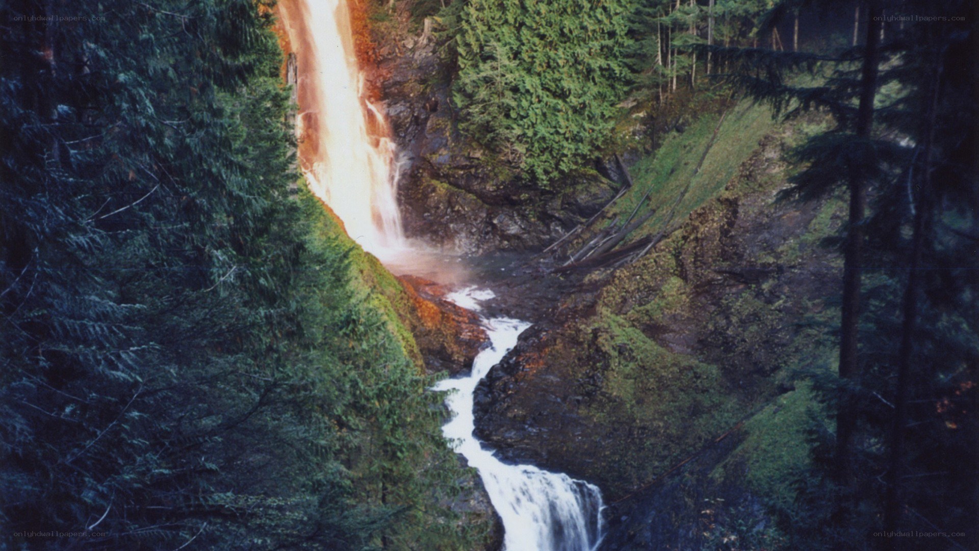 Waterfall in forested canyon
