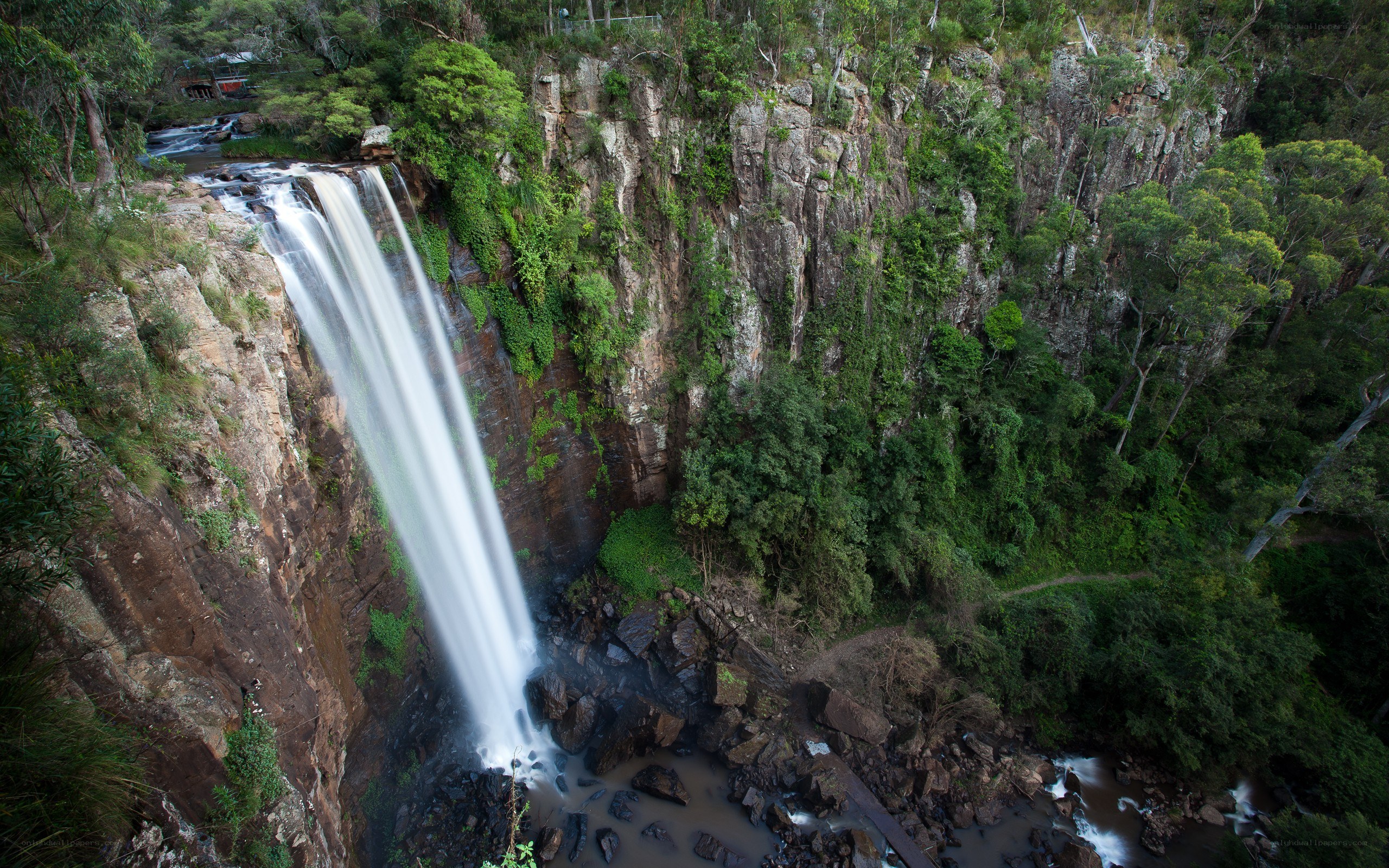 Waterfall in forested canyon