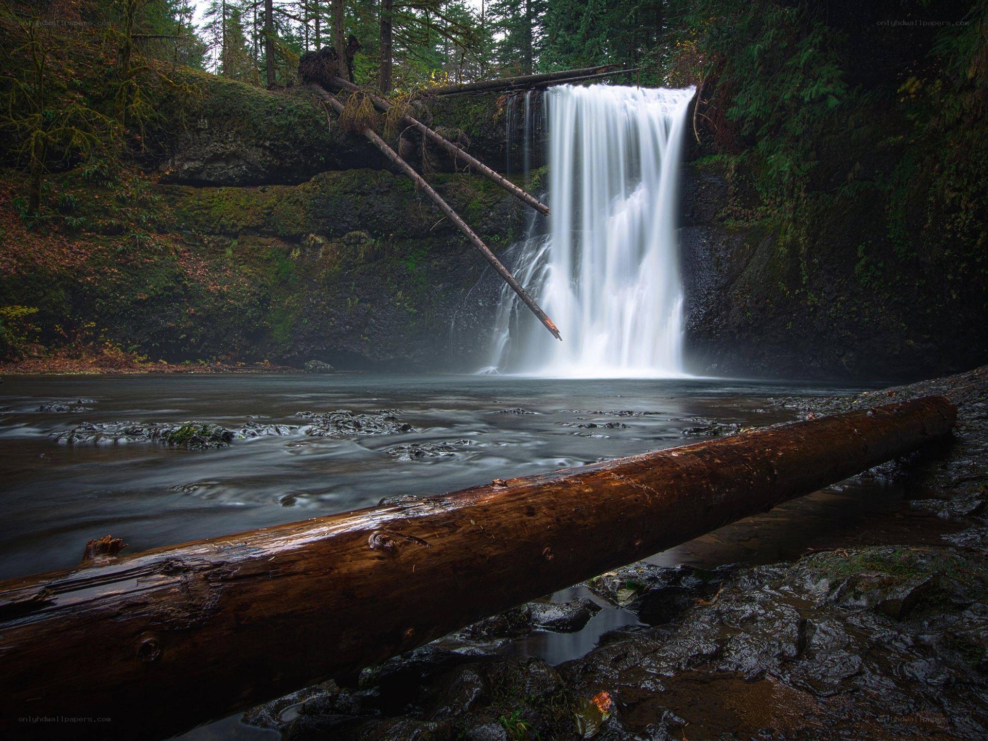 Waterfall in forested canyon