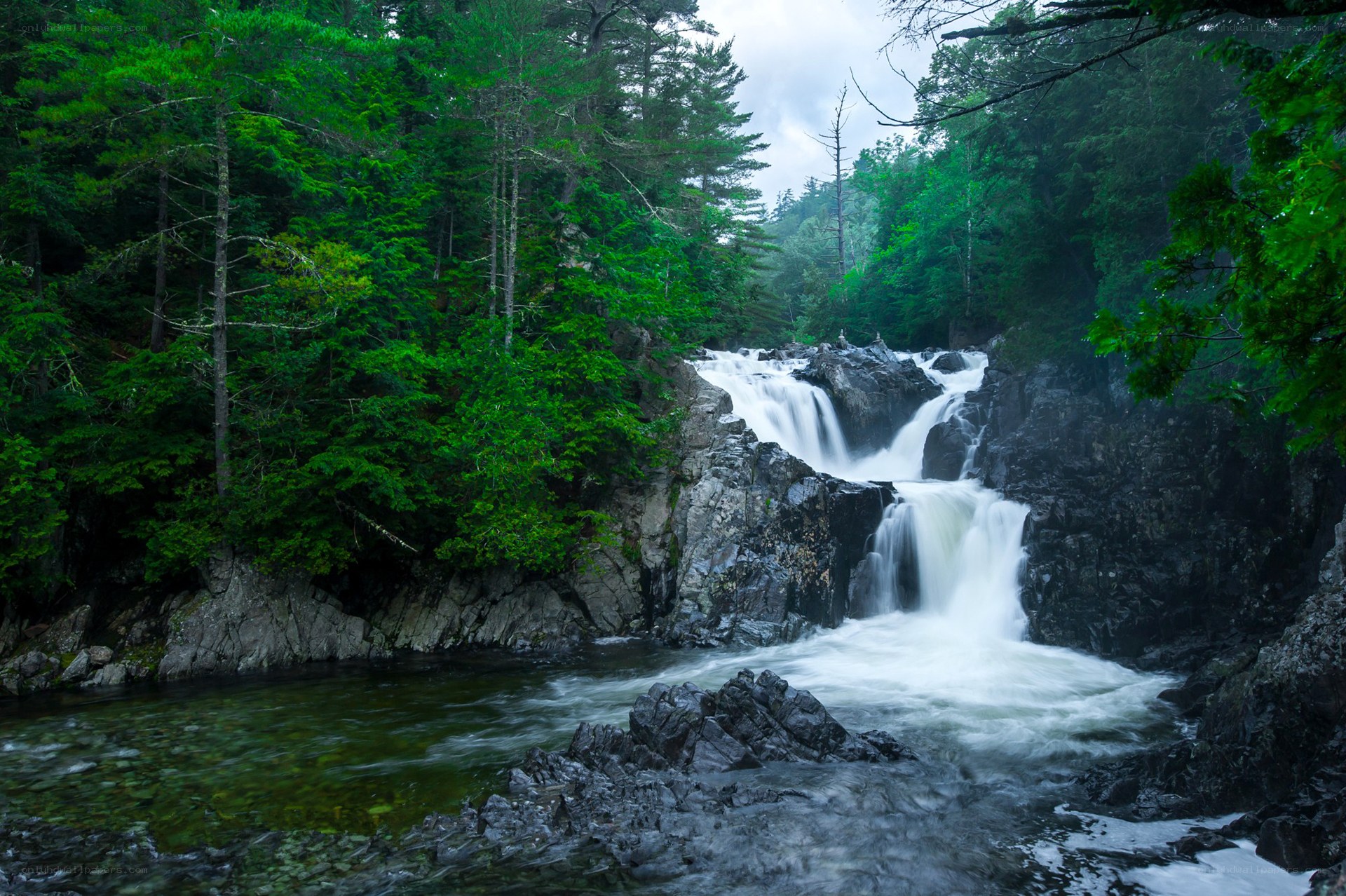 Waterfall in forested canyon