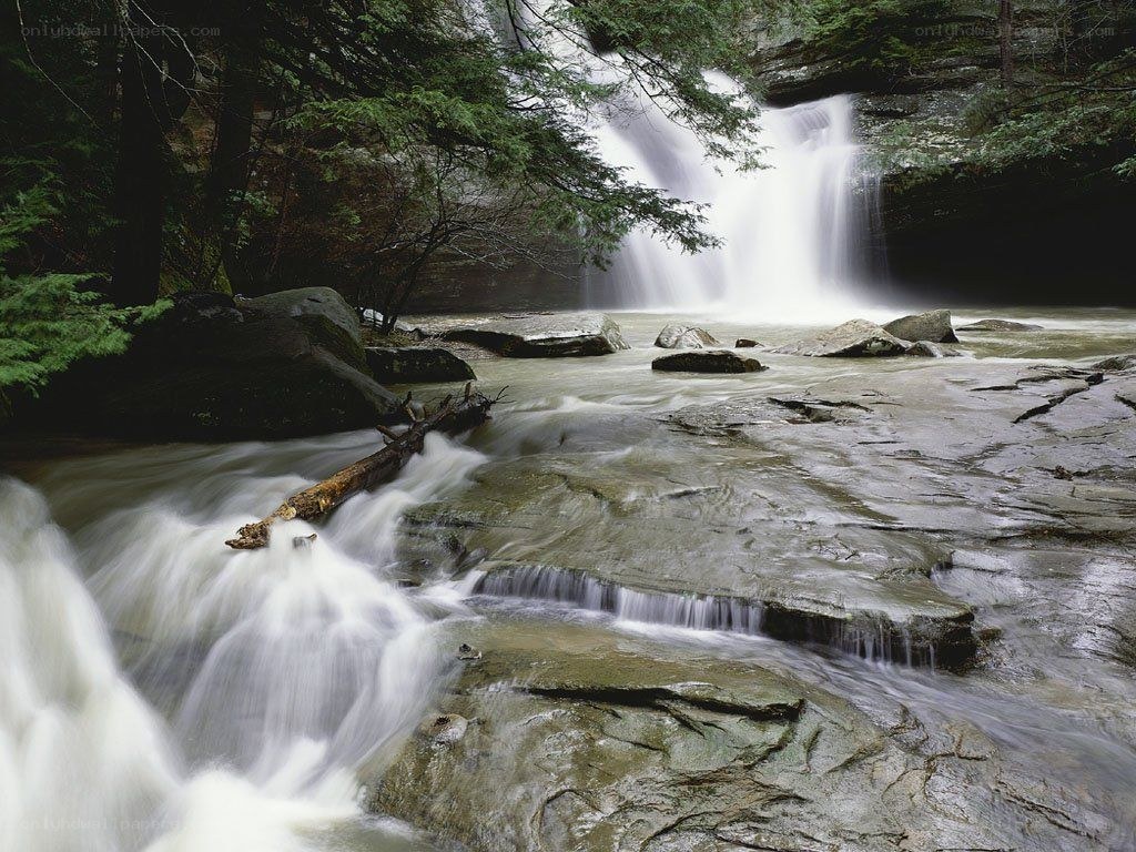 Waterfall in forested canyon