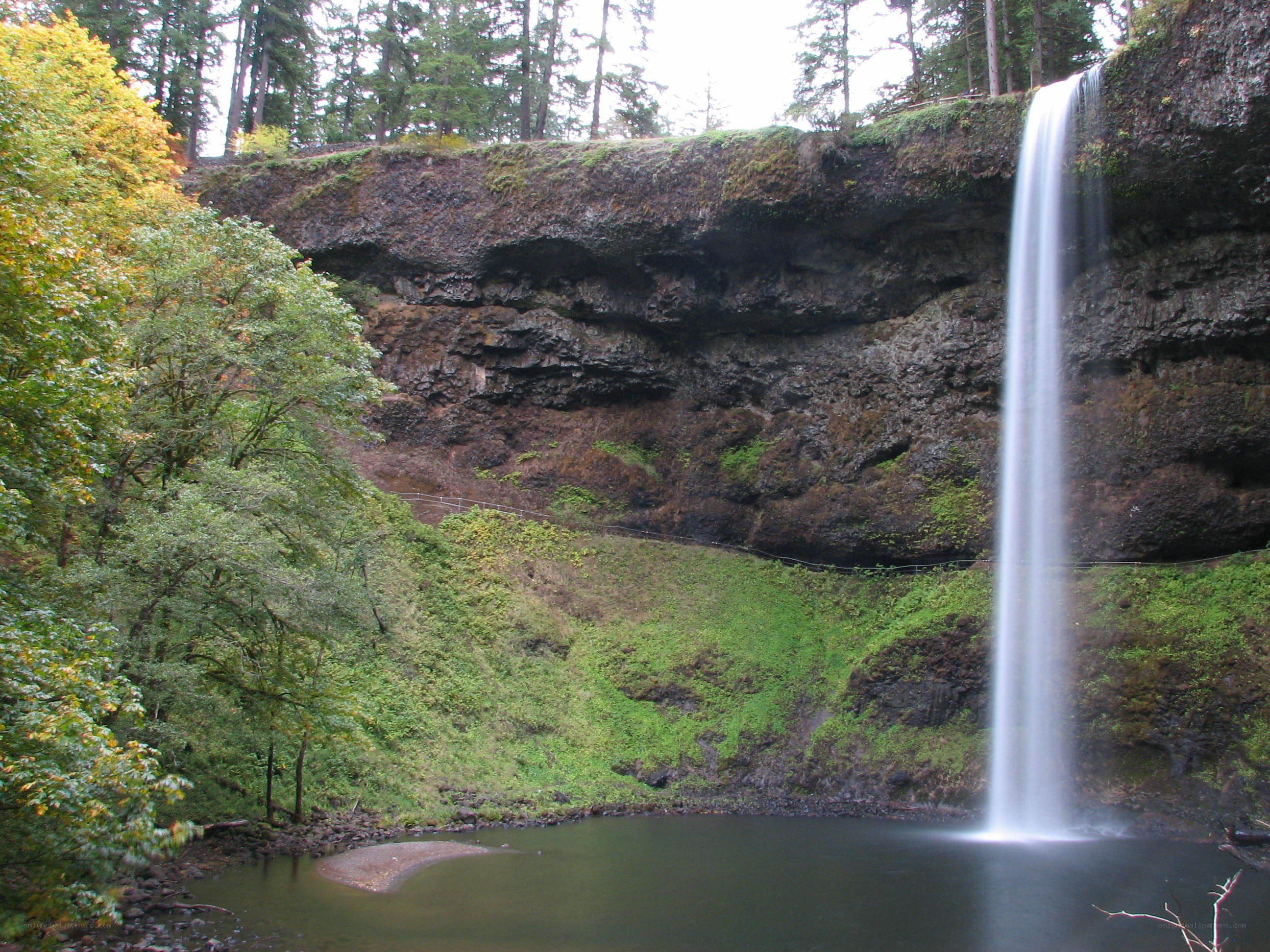 Waterfall in forested canyon