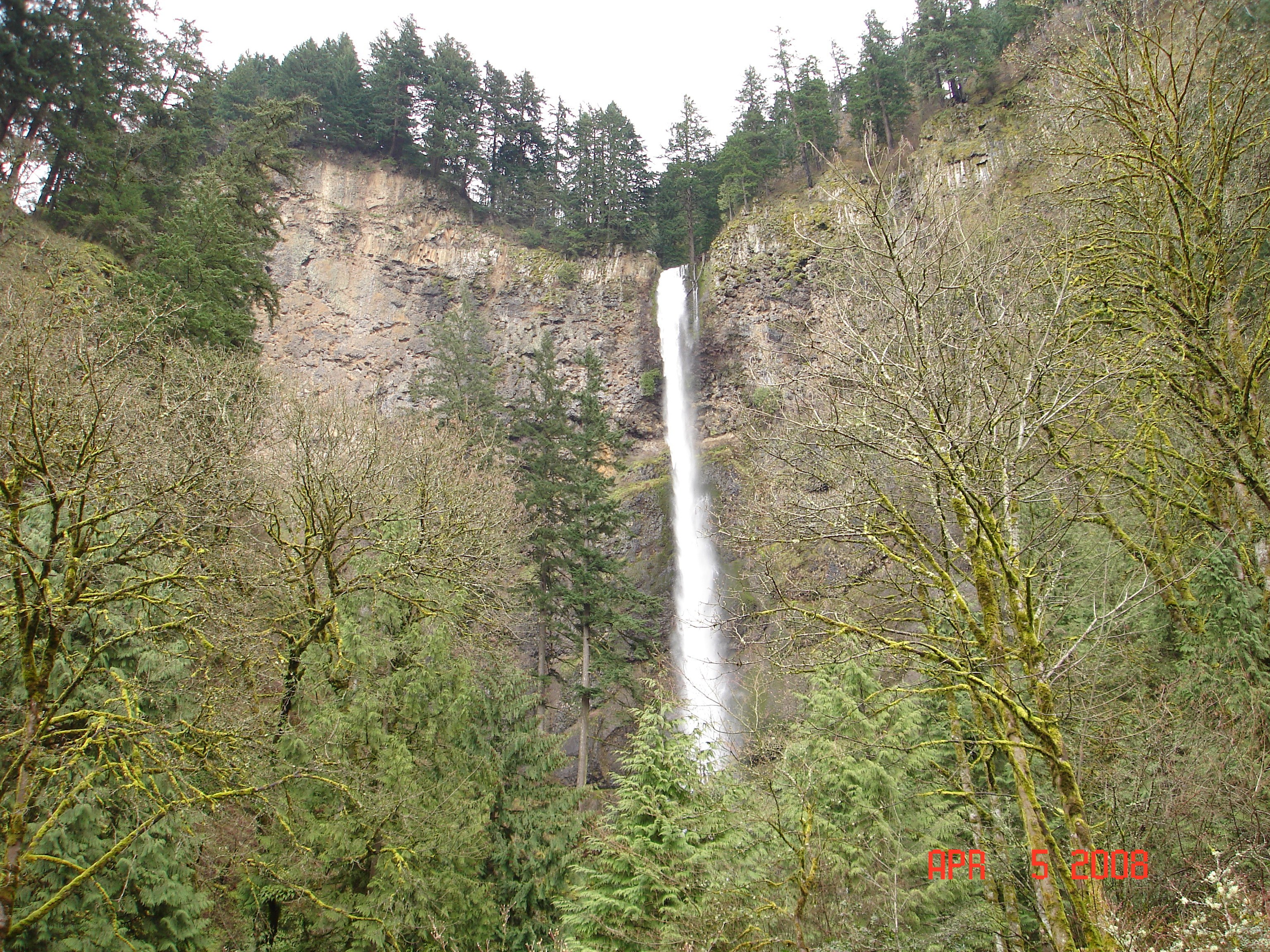 Waterfall in forested canyon