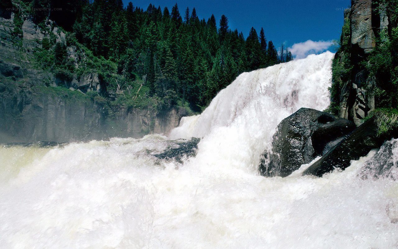 Waterfall in forested canyon