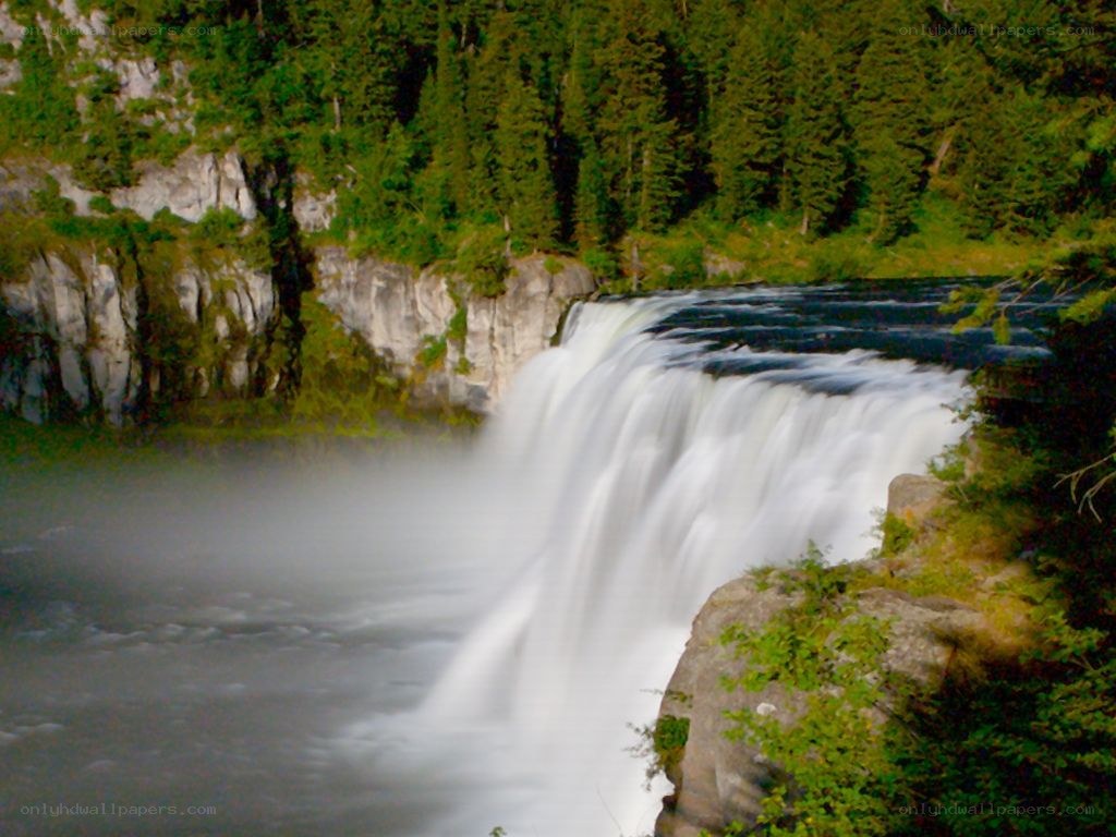 Waterfall in forested canyon